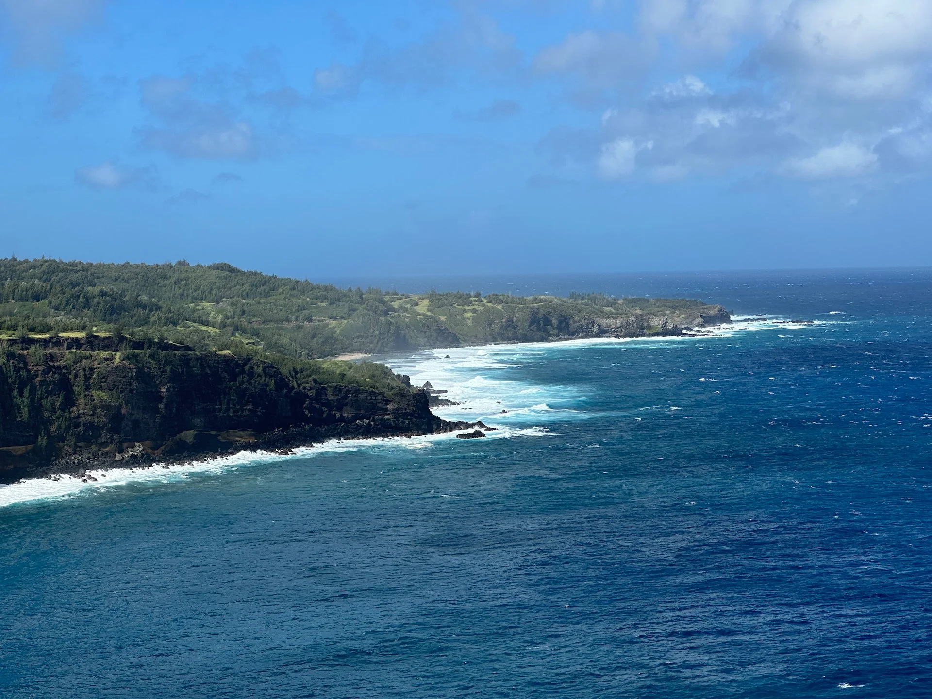 2023 03 Maui Day 7 - 28.jpeg