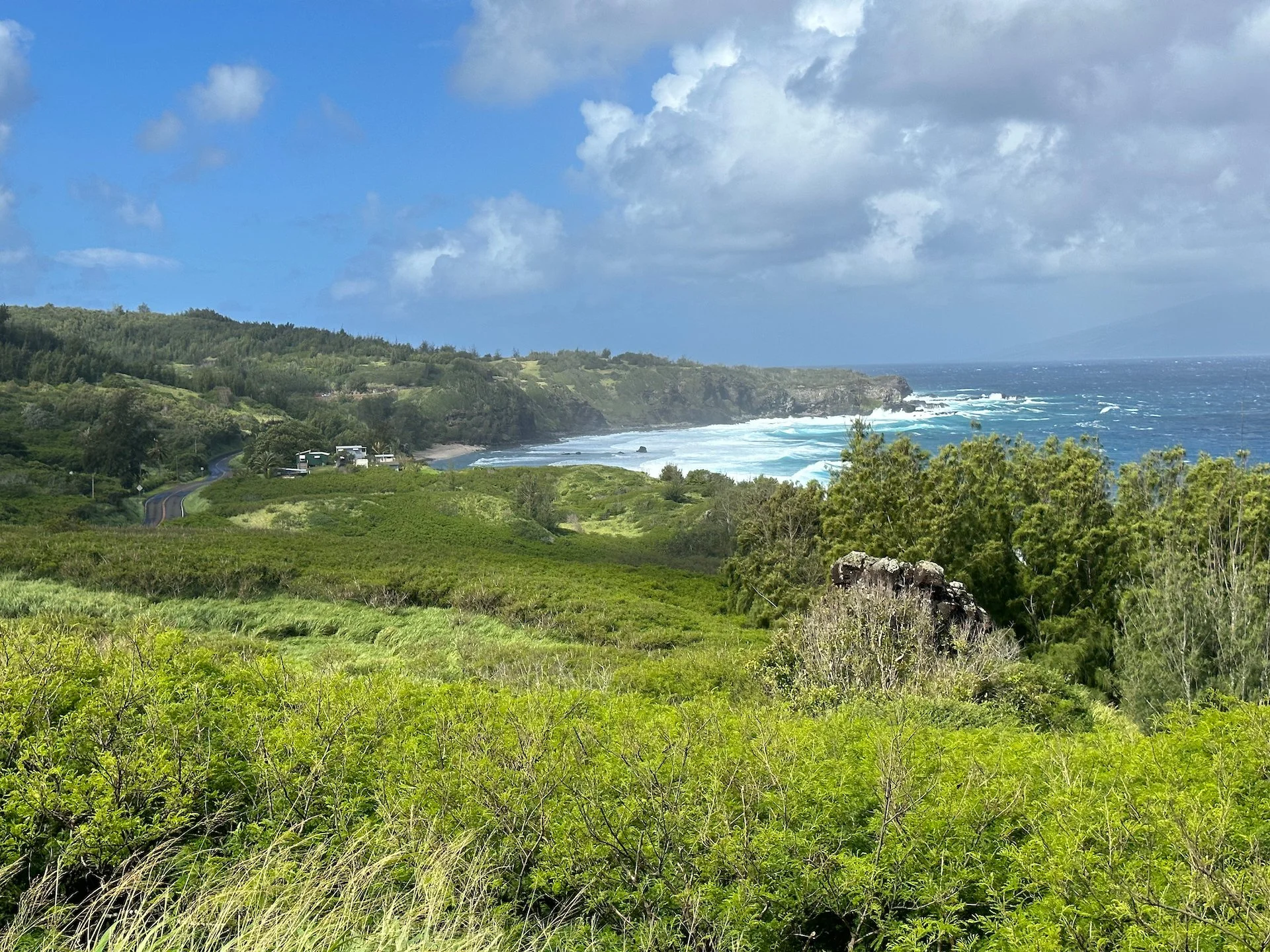 2023 03 Maui Day 7 - 29.jpeg