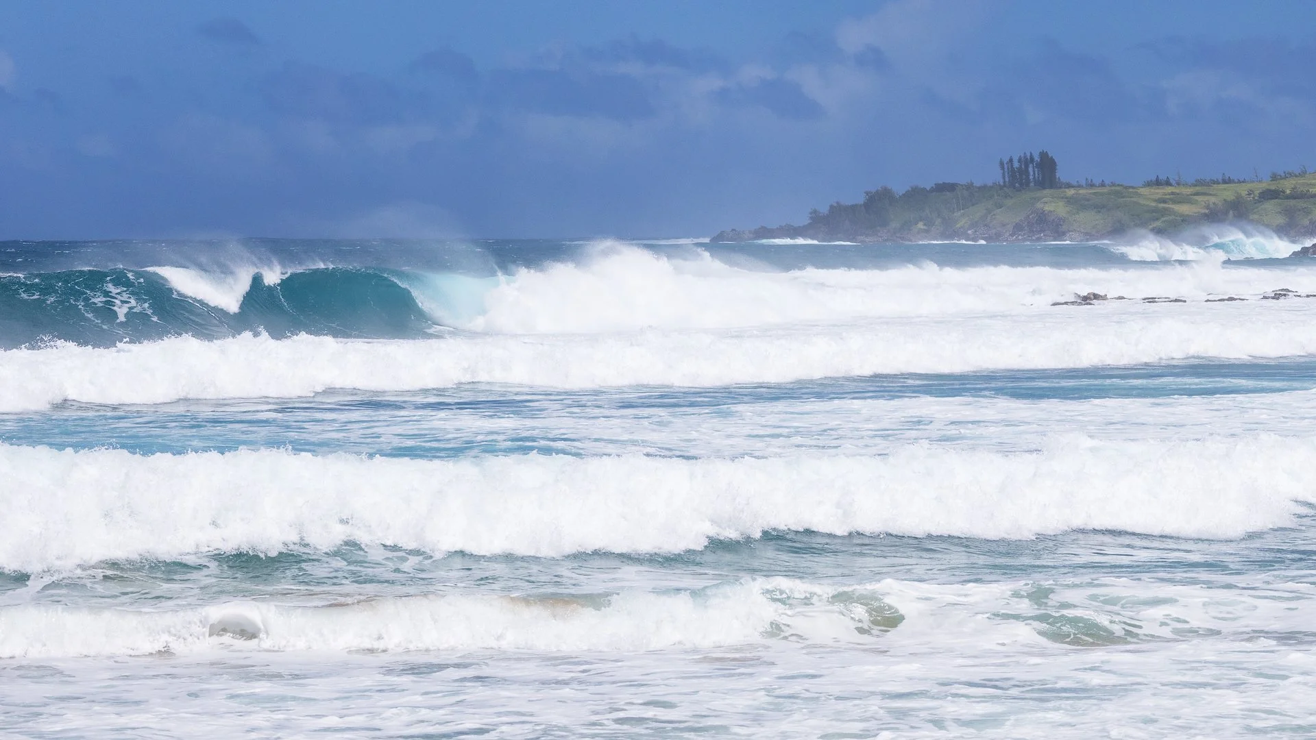  Some pretty good looking waves. 