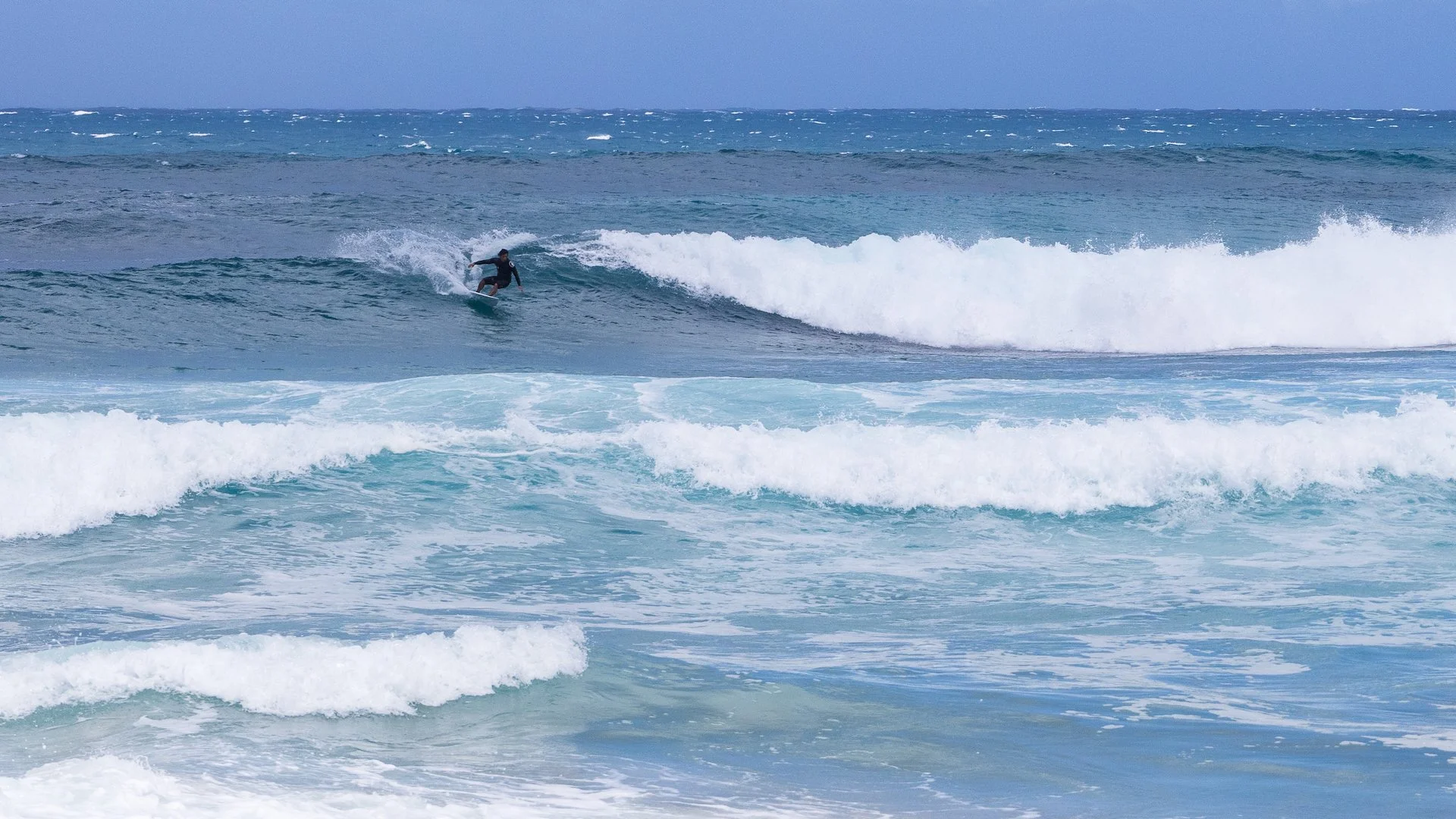  And one brave surfer. 