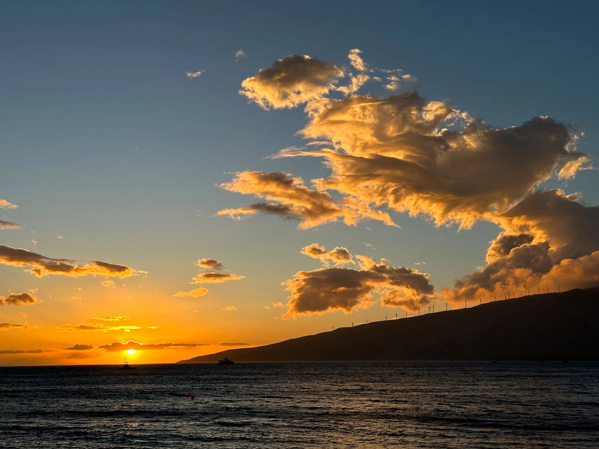 2023 03 Maui Day 7 - 45.jpeg