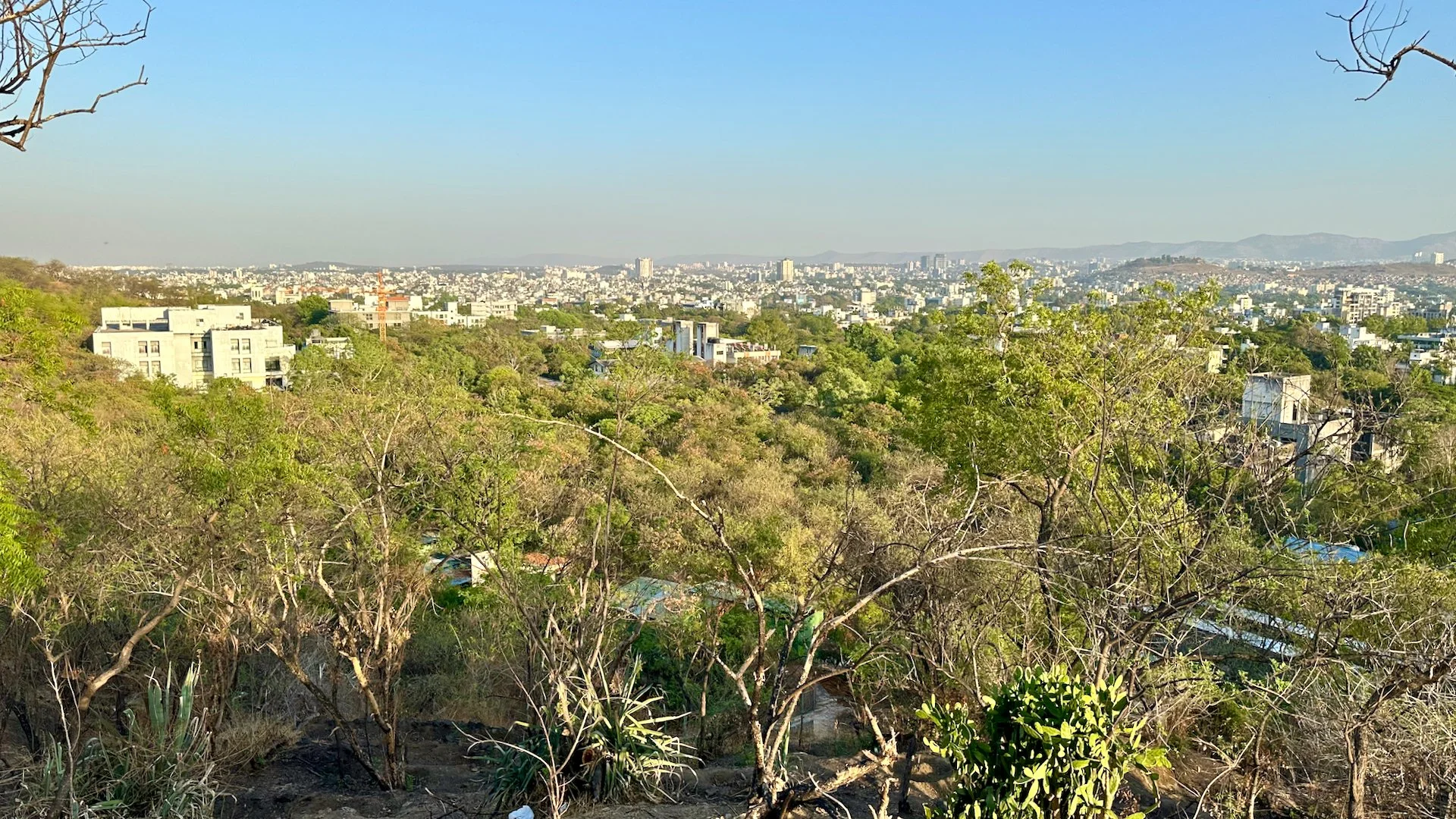 A view from the top of the hill. 