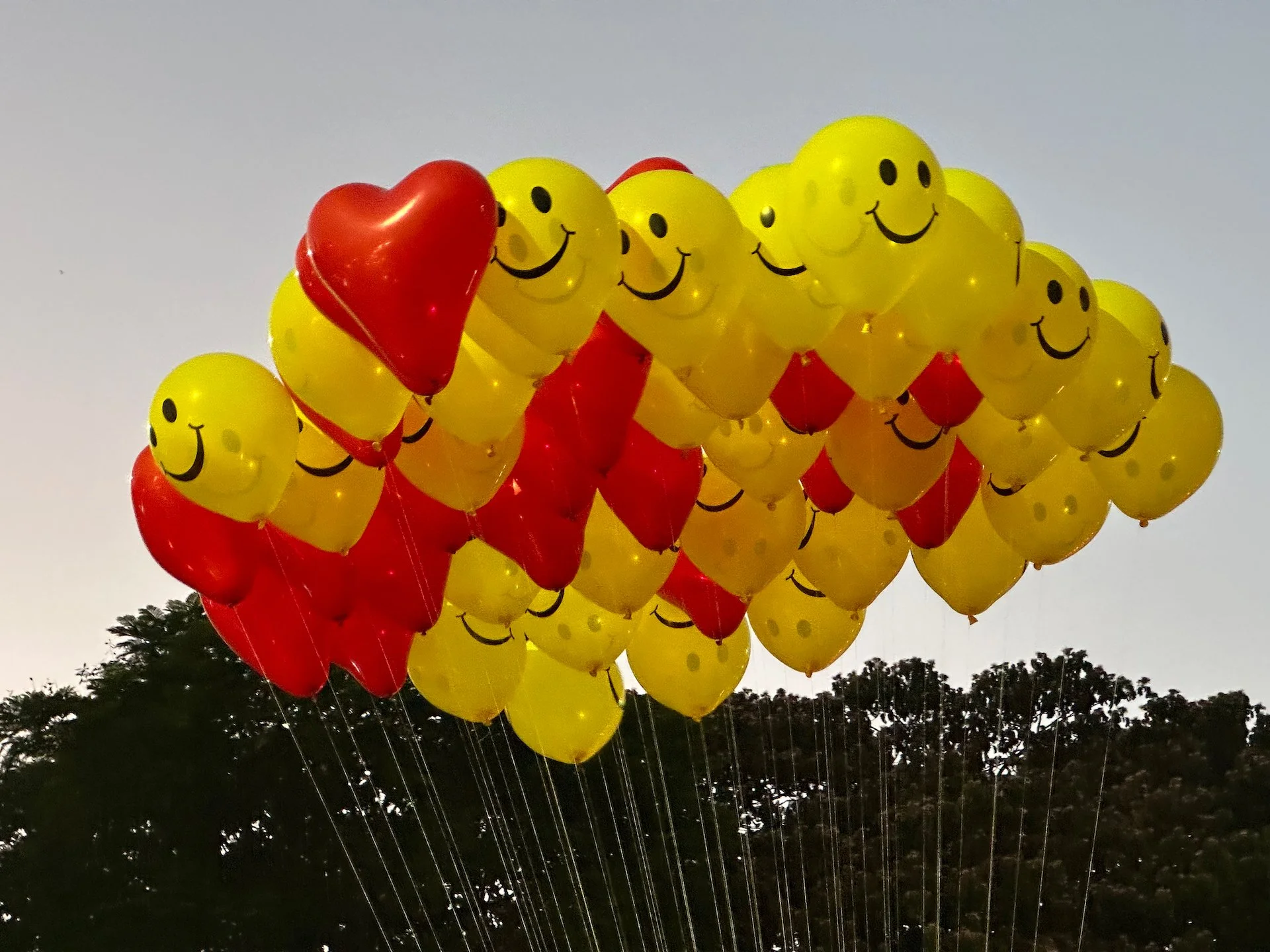  Balloons out on the street. 