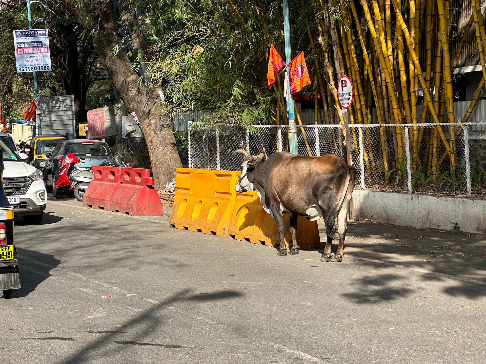 2023 04 Pune First Week - 71.jpeg