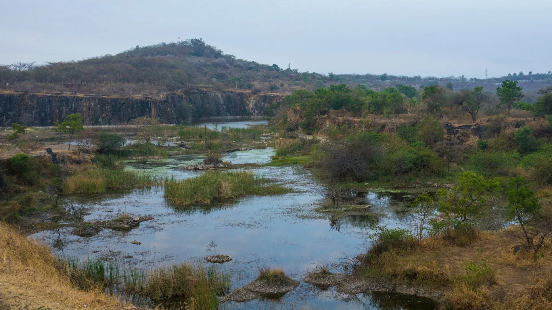  The old quarry looks like it might become quite a nice wetland in the rainy season. 