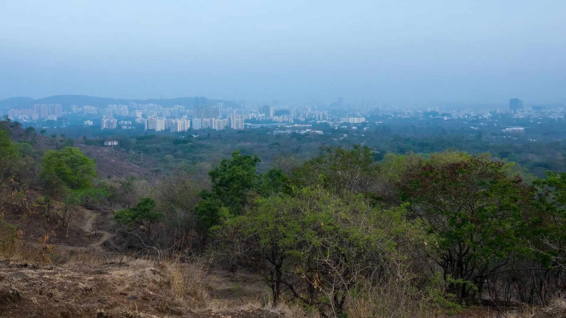  Another view from the top. 