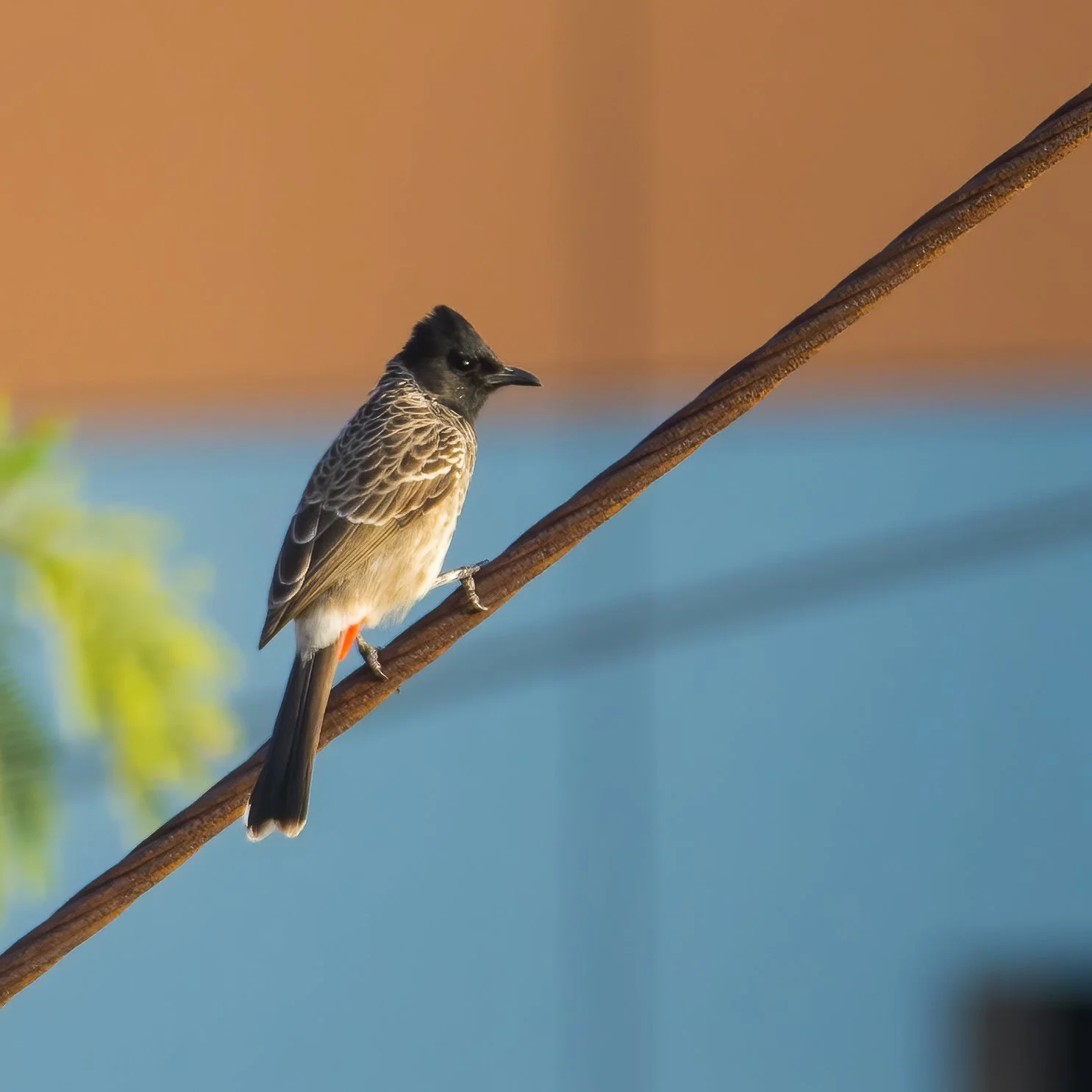 2023 04 Pune First Week - 93.jpeg