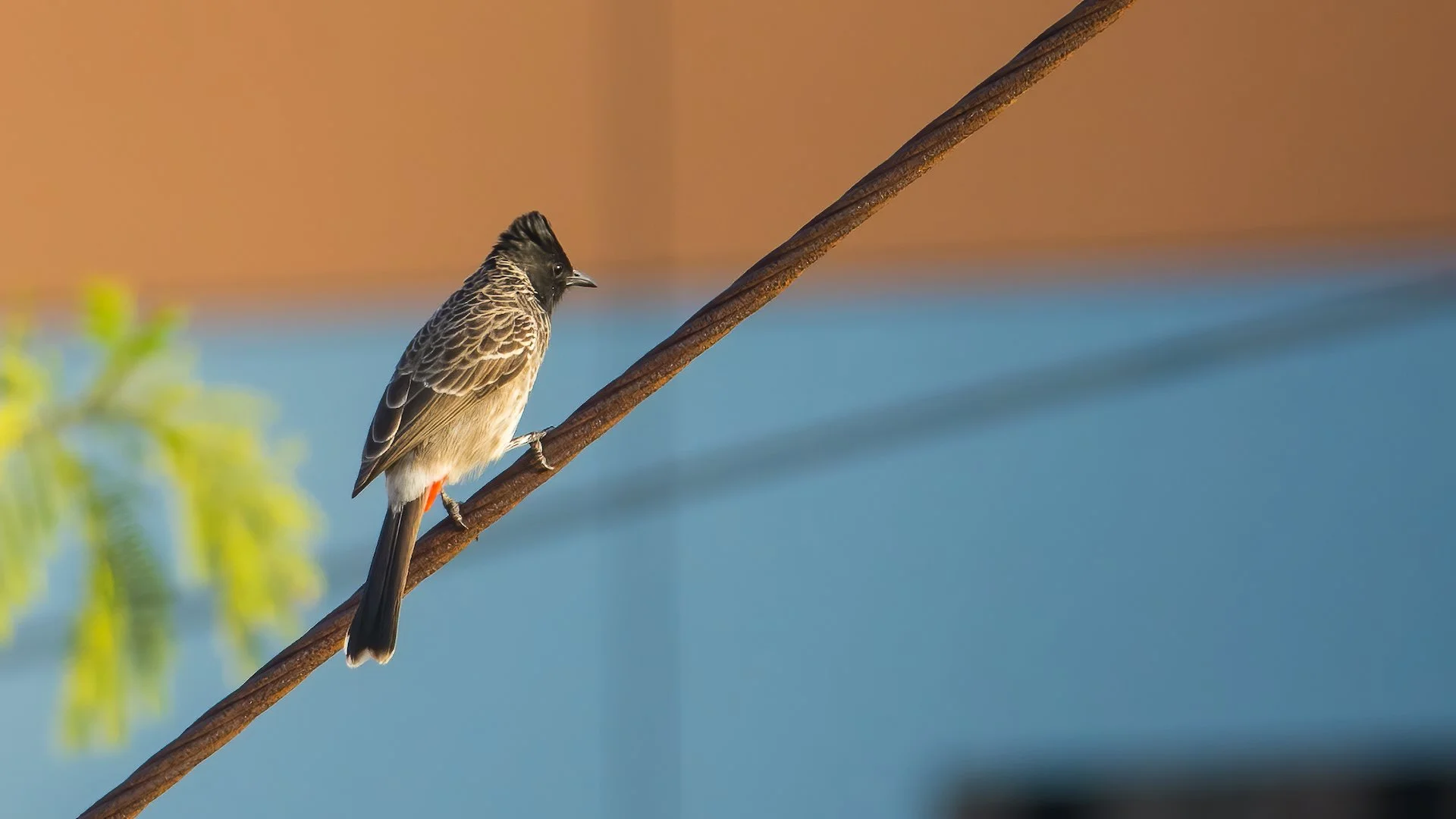 2023 04 Pune First Week - 92.jpeg