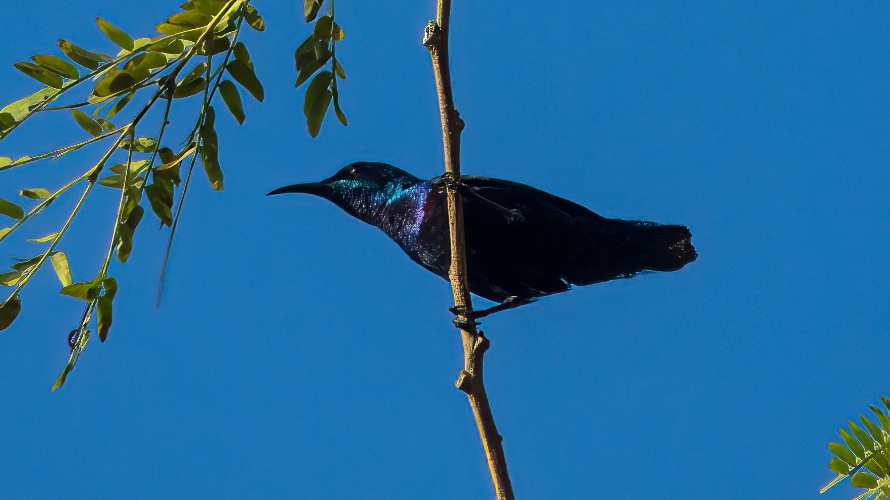 2023 04 Pune First Week - 94.jpeg