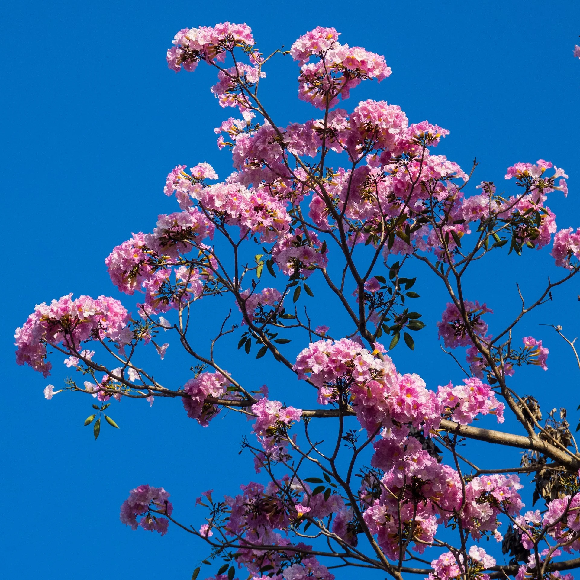 2023 04 Pune First Week - 99.jpeg