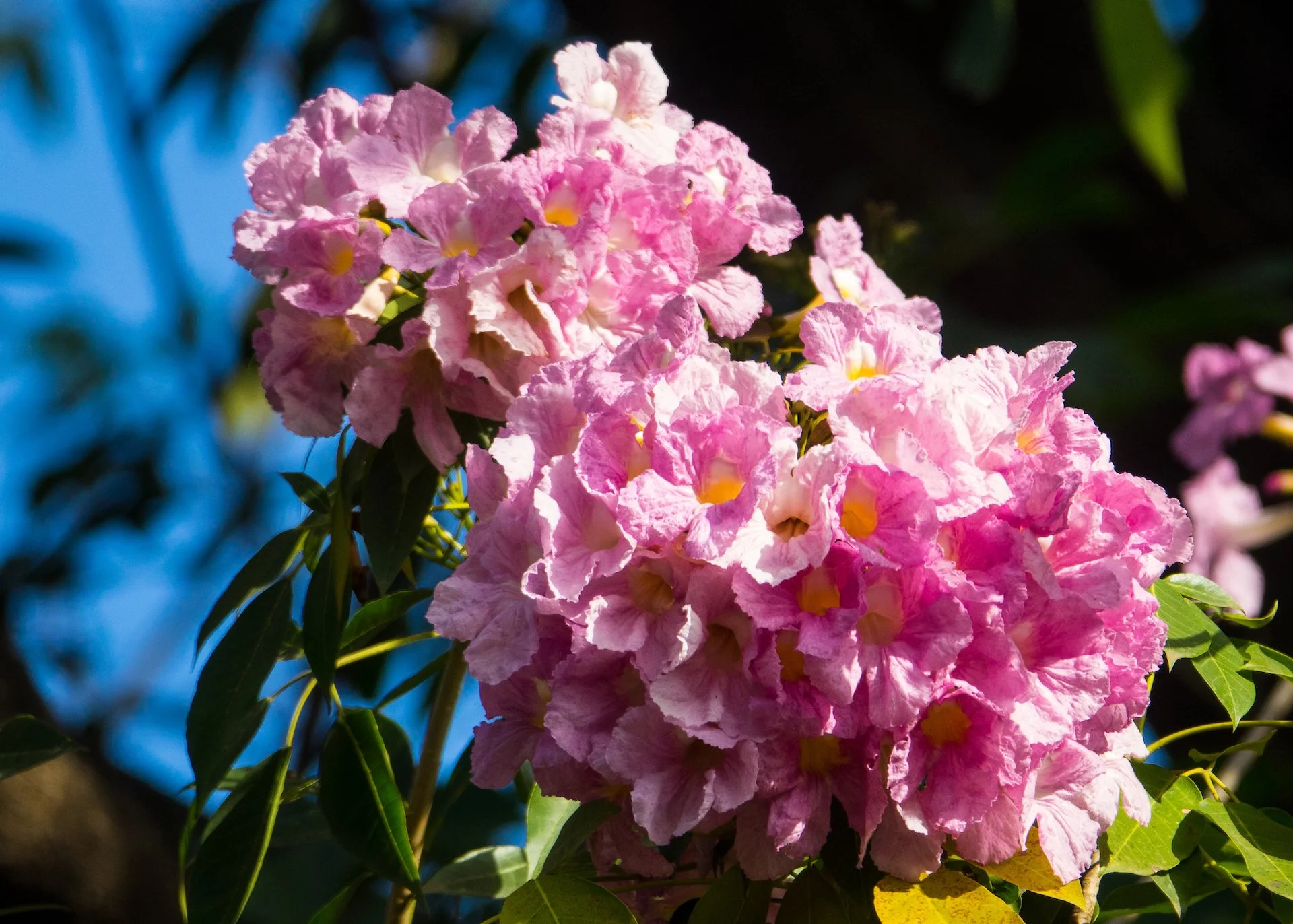 2023 04 Pune First Week - 100.jpeg