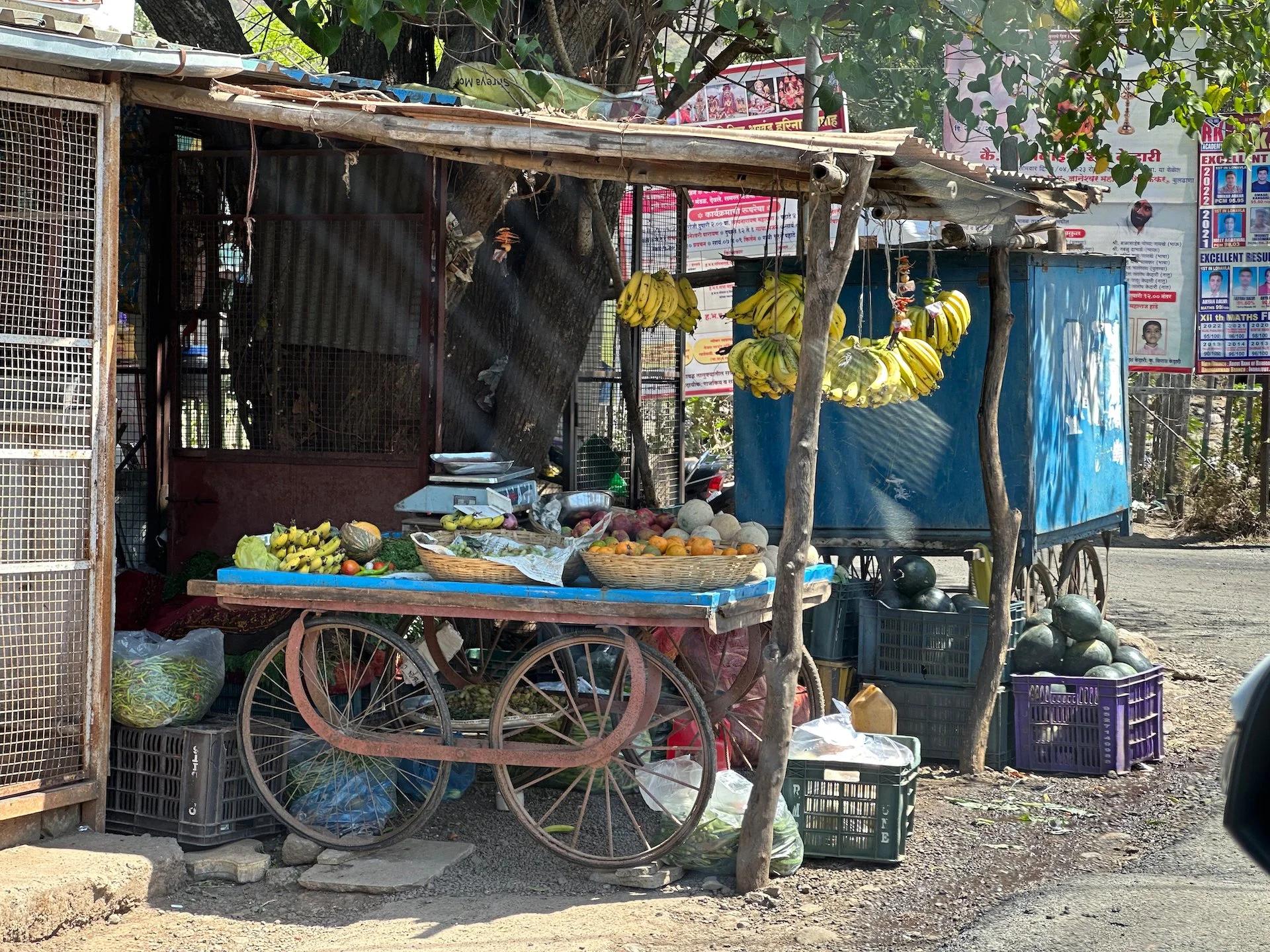  A typical fruit stall in one of the little towns along the way. 