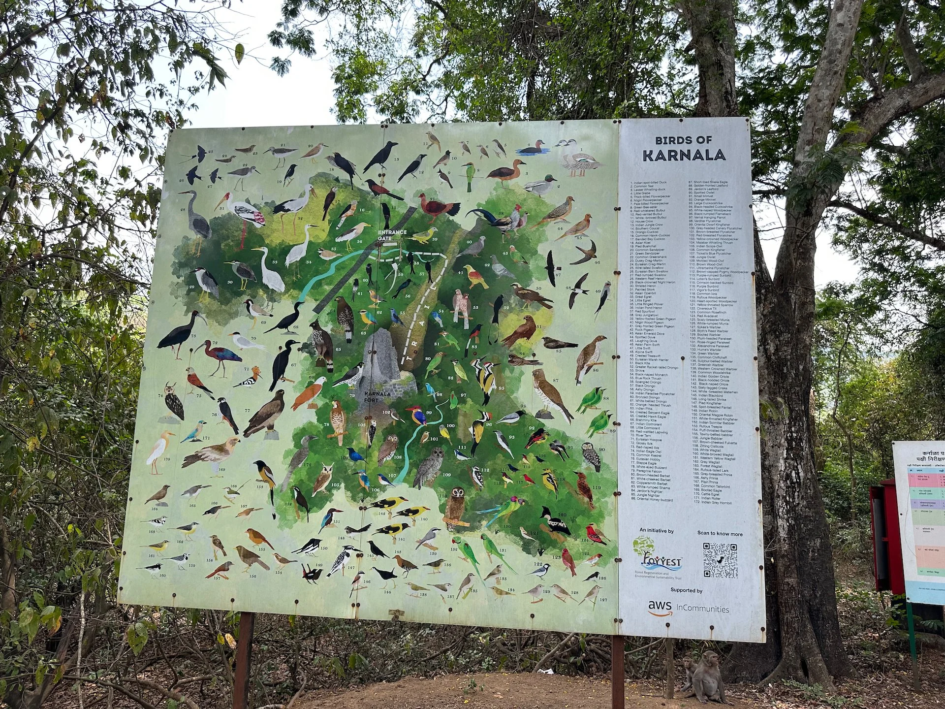  This sign gave me a lot of hope for a good day looking for birds! 