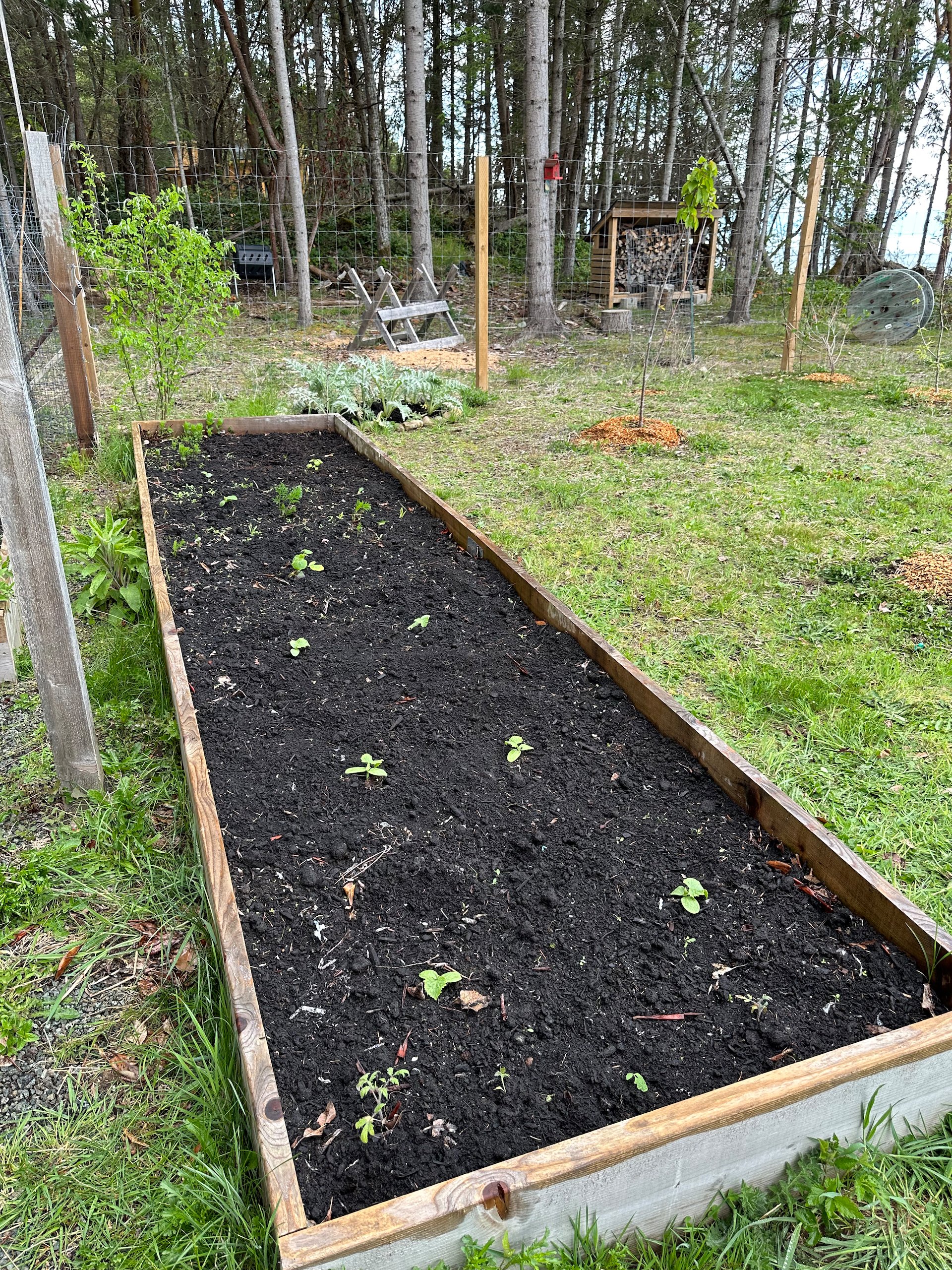 Big Garden Box #2