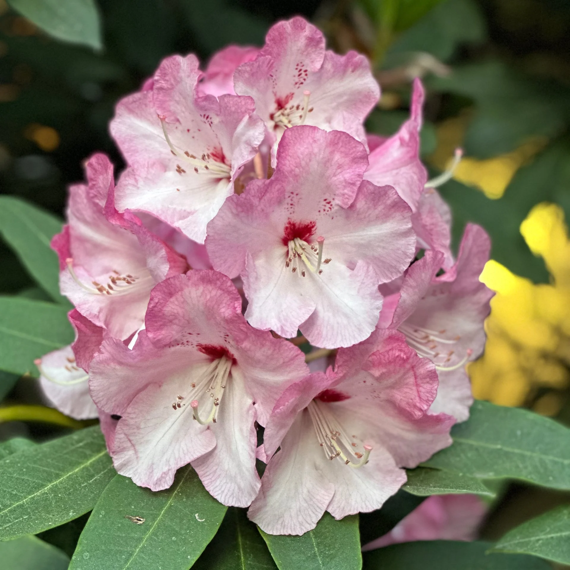 Prtland Road Trip - 132.jpeg