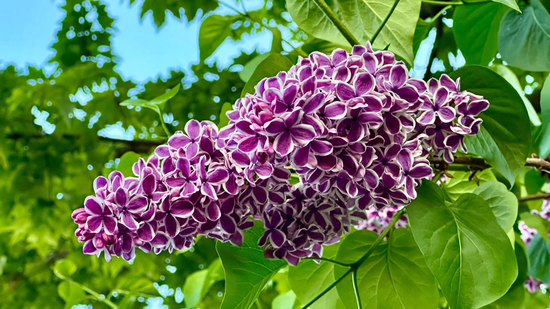 Prtland Road Trip - 131.jpeg