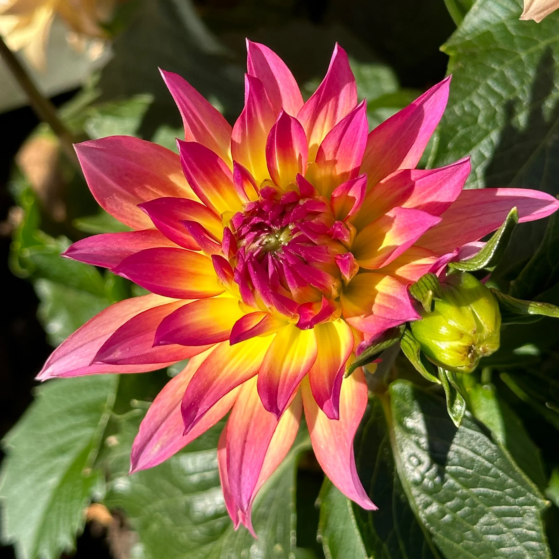 Prtland Road Trip - 133.jpeg