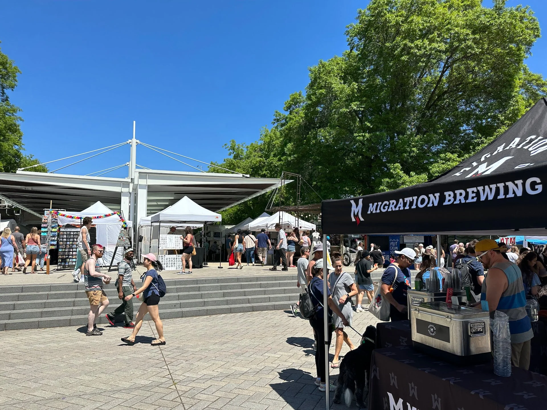 Because Portland is civilized, you can buy beer at the market. 