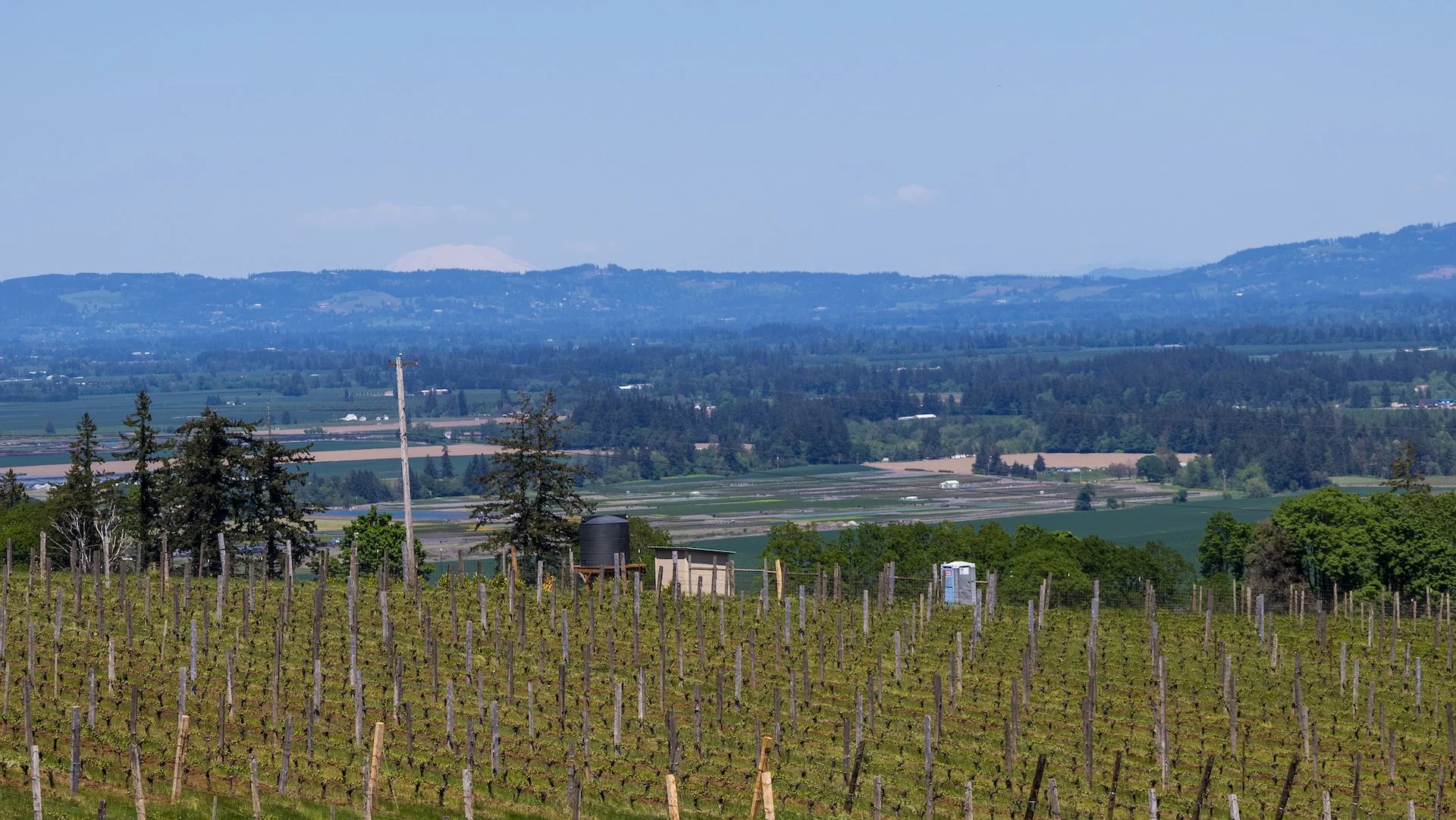  You can just make out the flattened top of St. Helen’s, 43 years after the eruption.  