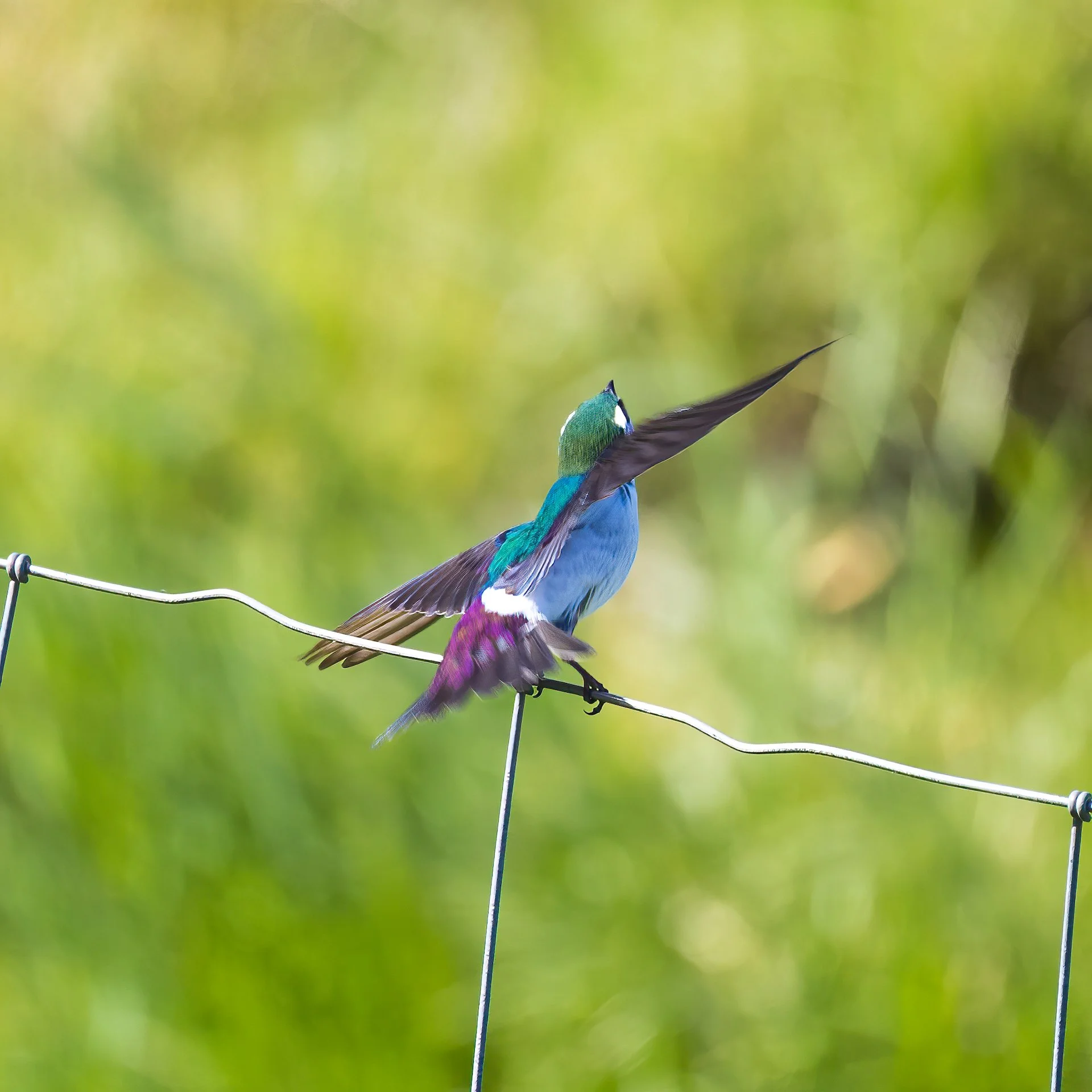 Prtland Road Trip - 41.jpeg