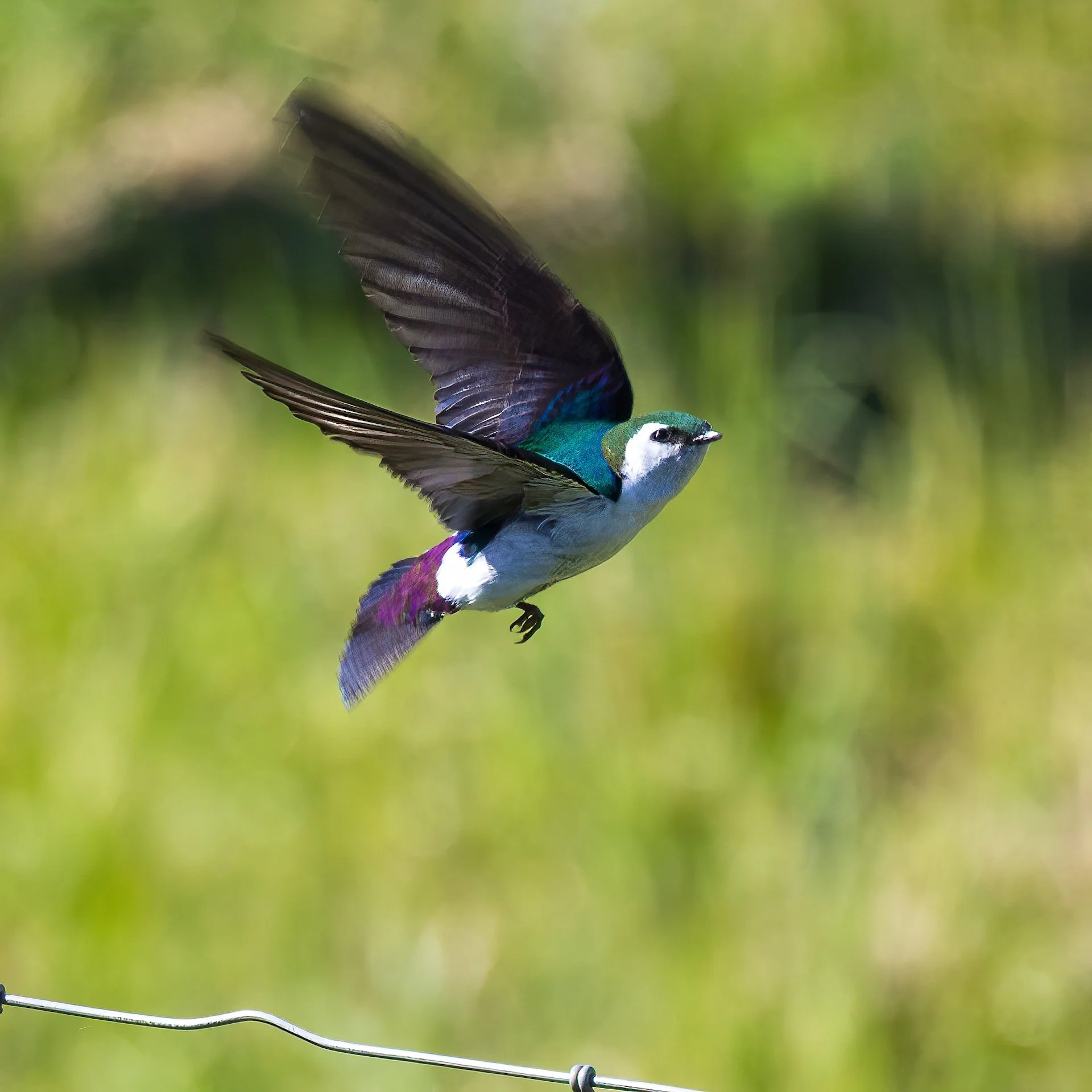 Prtland Road Trip - 43.jpeg