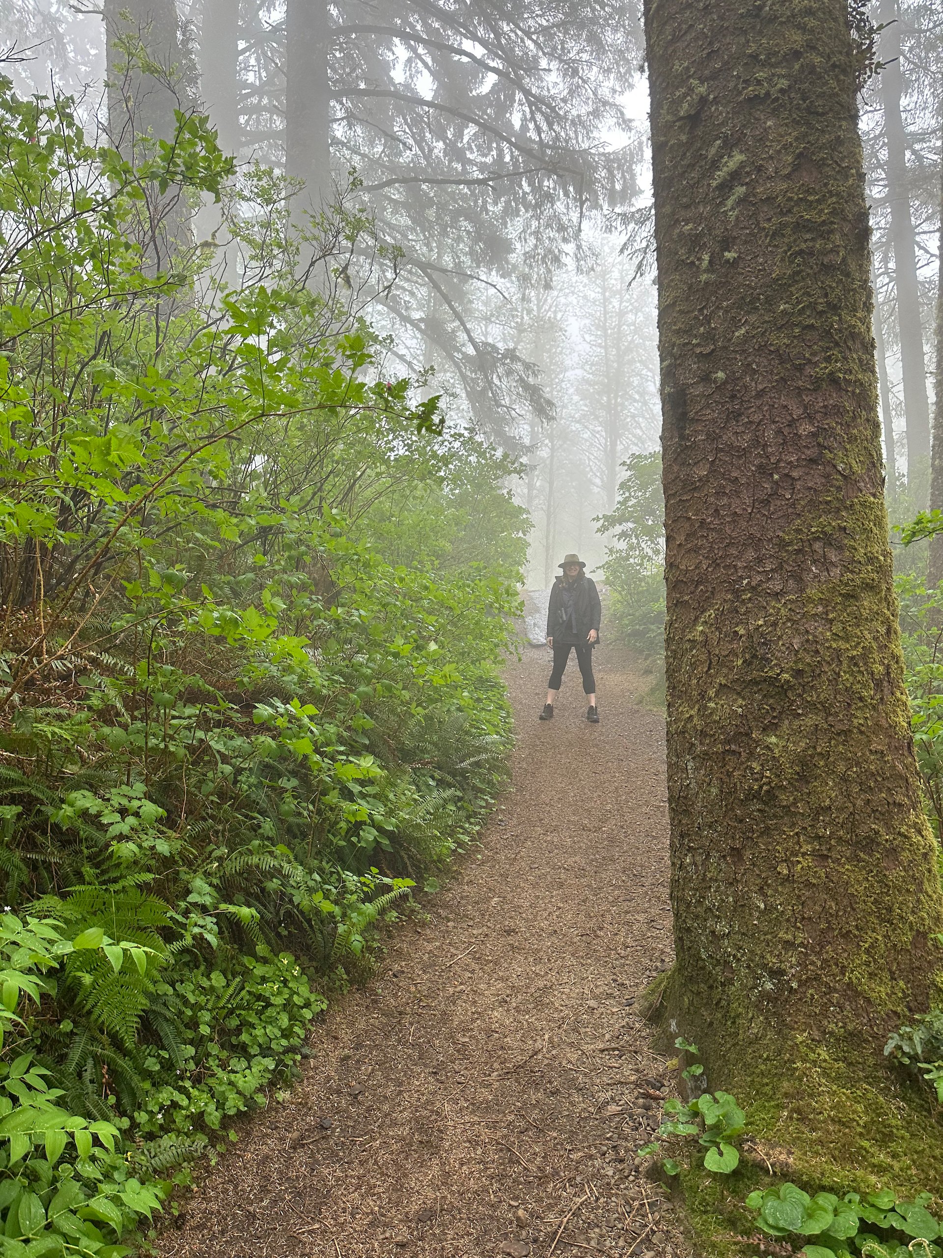  This was pretty typical of the start of the hike. You could barely see through the low hanging clouds and you quickly disappeared into the mist.  