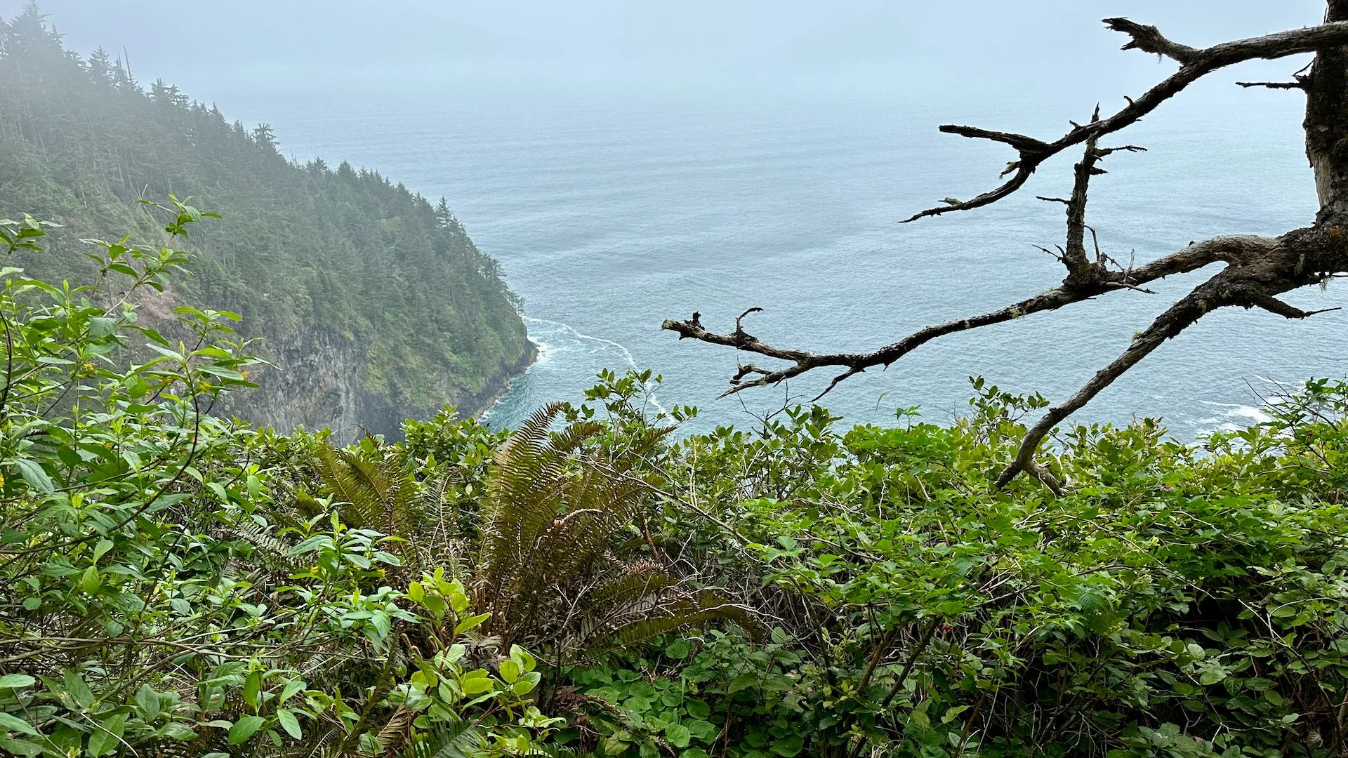  The clouds lifted for a short view of the rugged coast.  