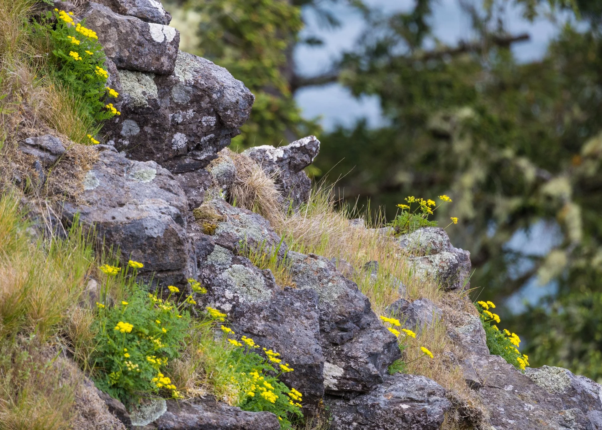 Prtland Road Trip - 84.jpeg