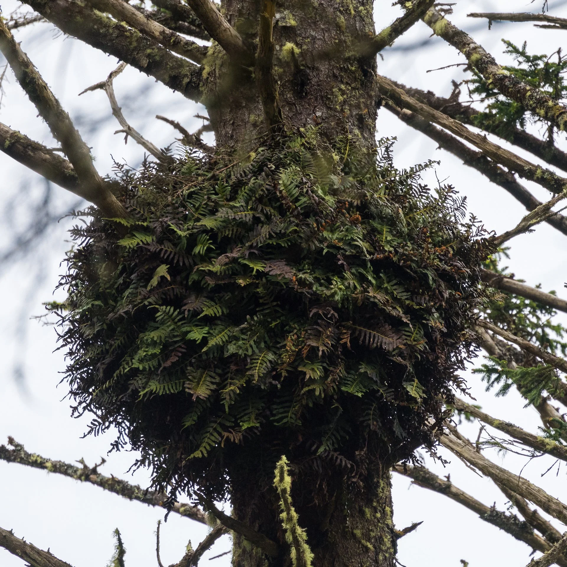 Prtland Road Trip - 92.jpeg