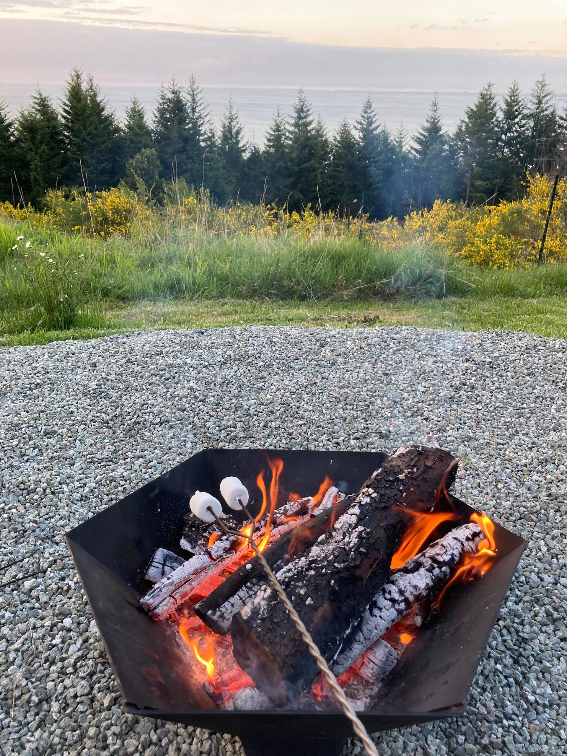  Of course we roasted marshmallows!  