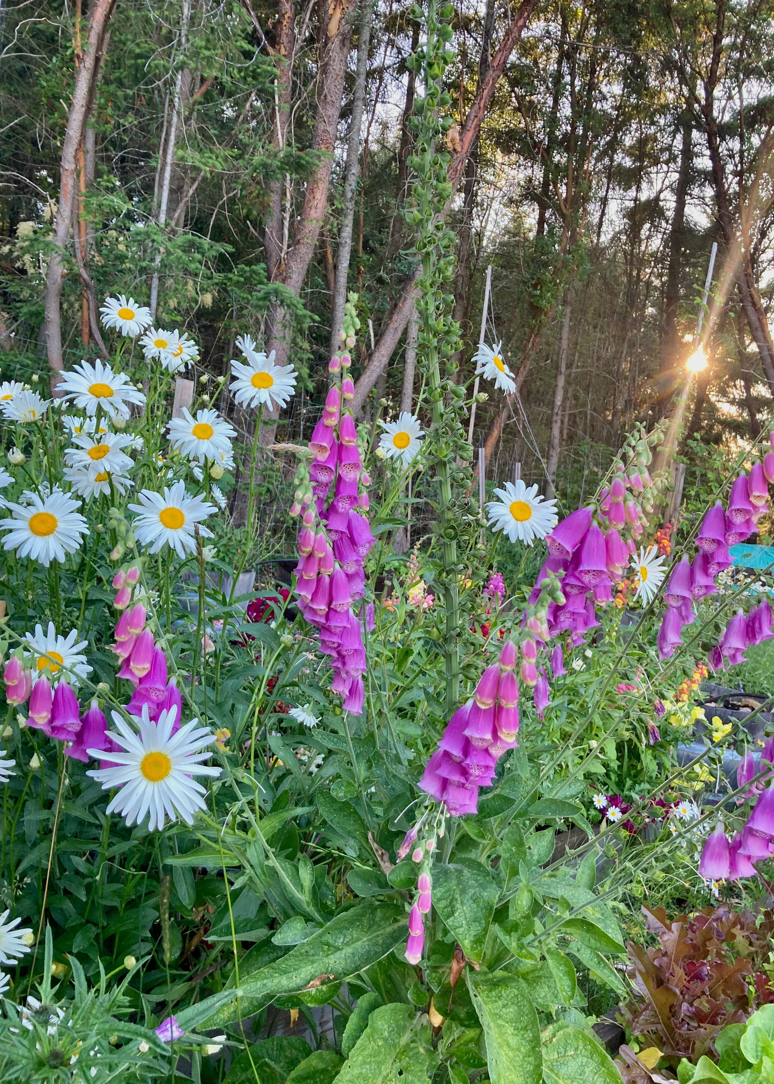  A beautiful spot at sunset. 