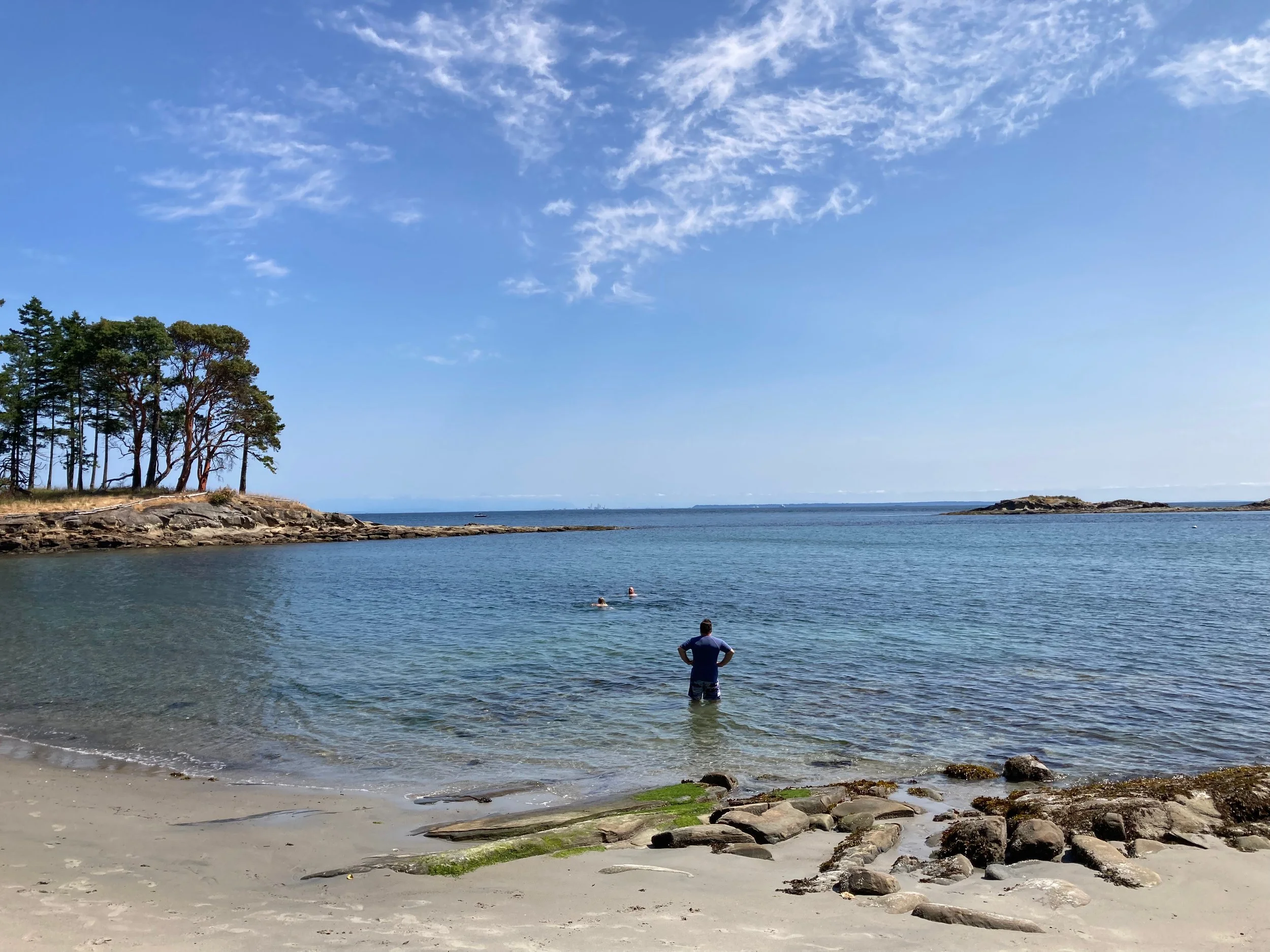  In for a swim at Morning Beach. 