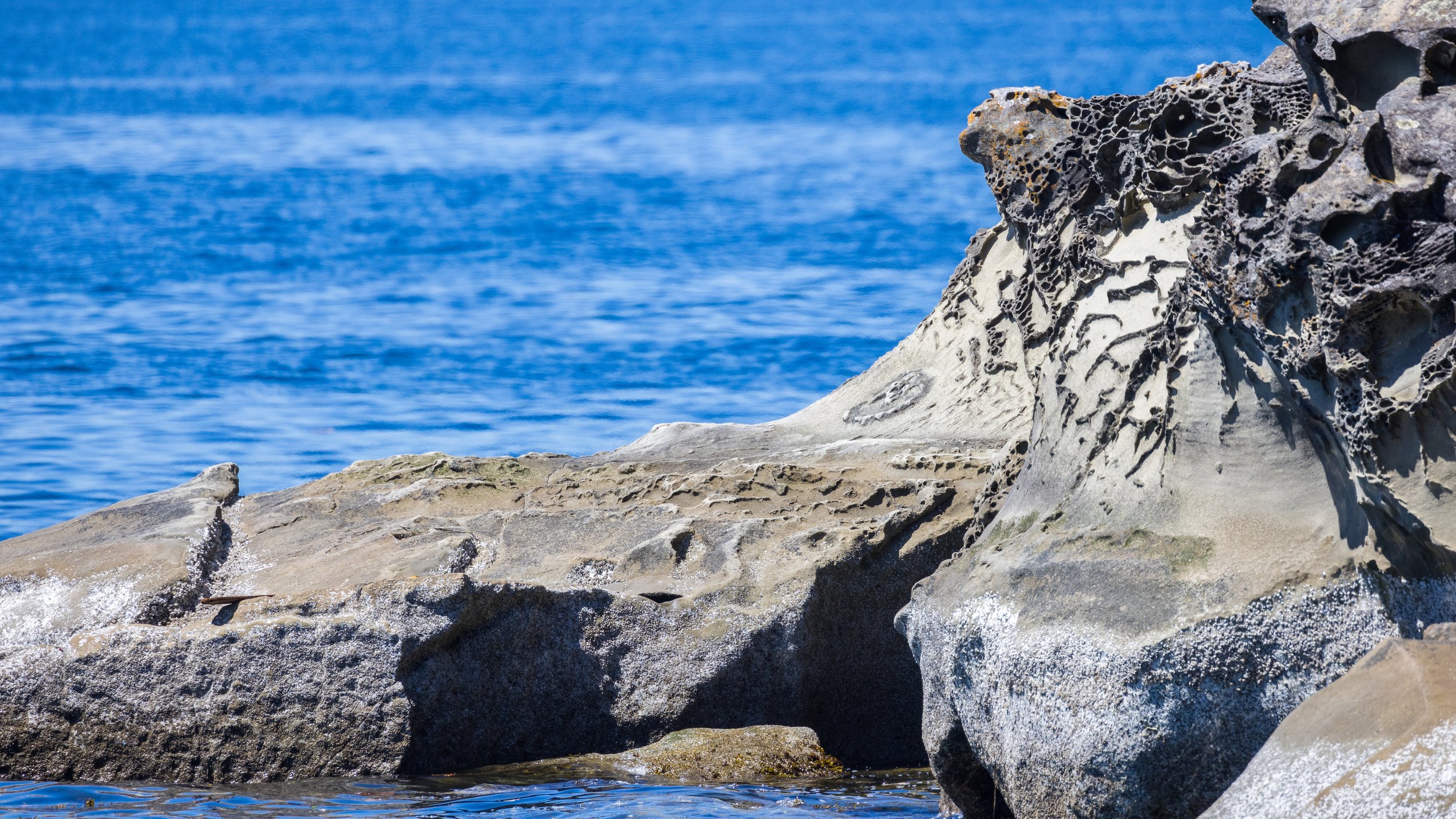  The rugged sandstone features along the water on Galiano always make for interesting subjects. 