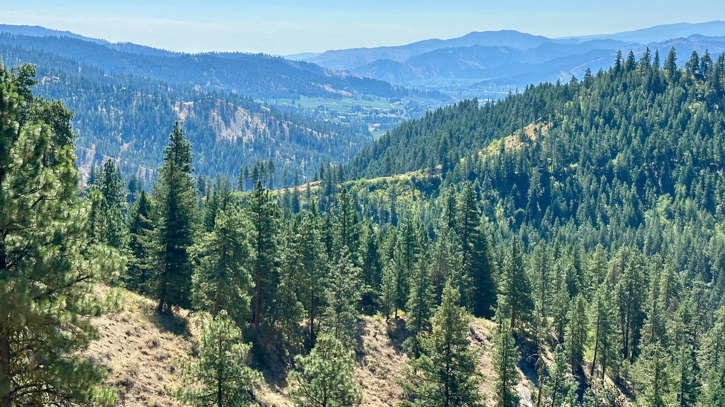  Looking off into the distance, through the valley. 