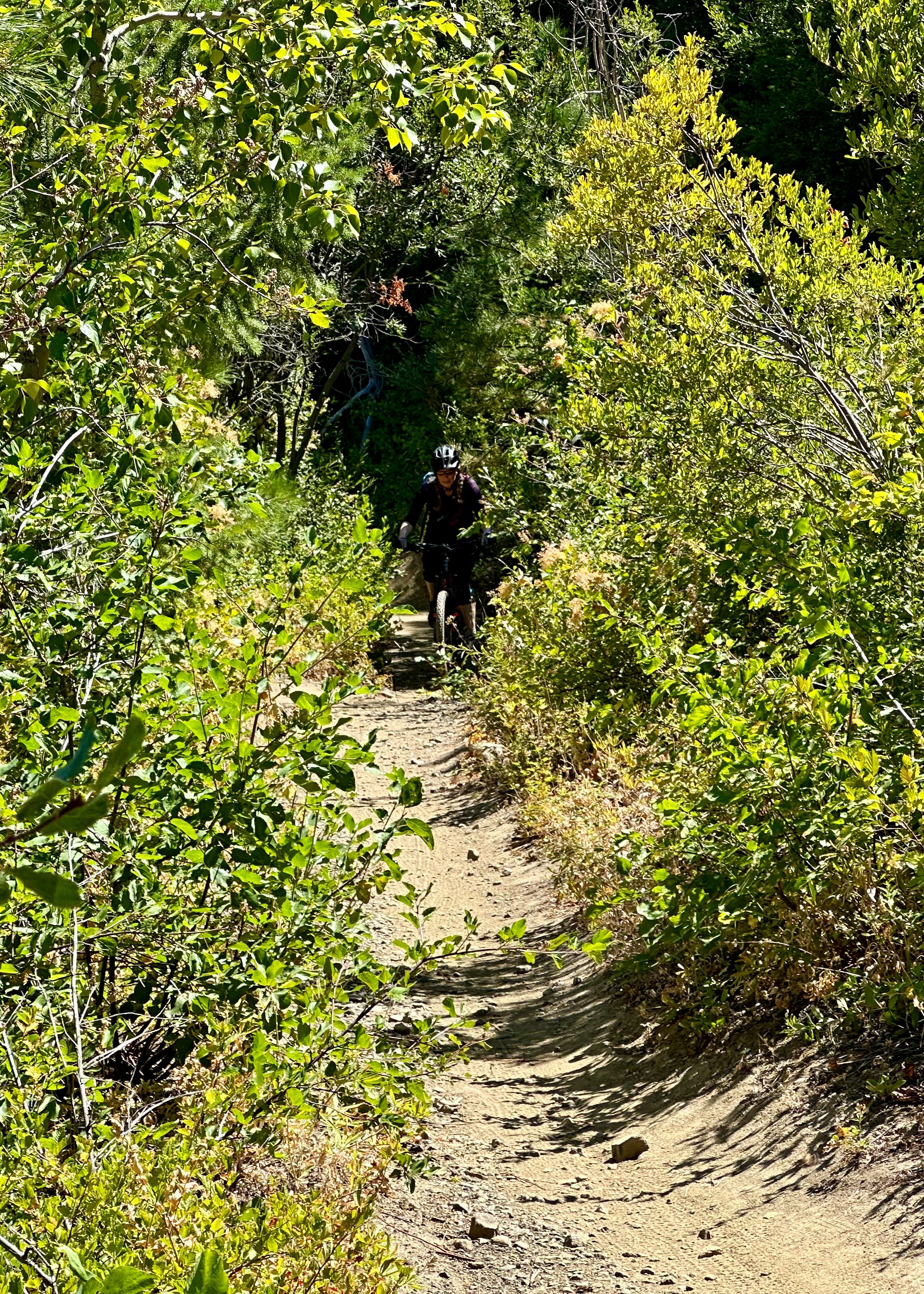  Justine continuing up the trail. 