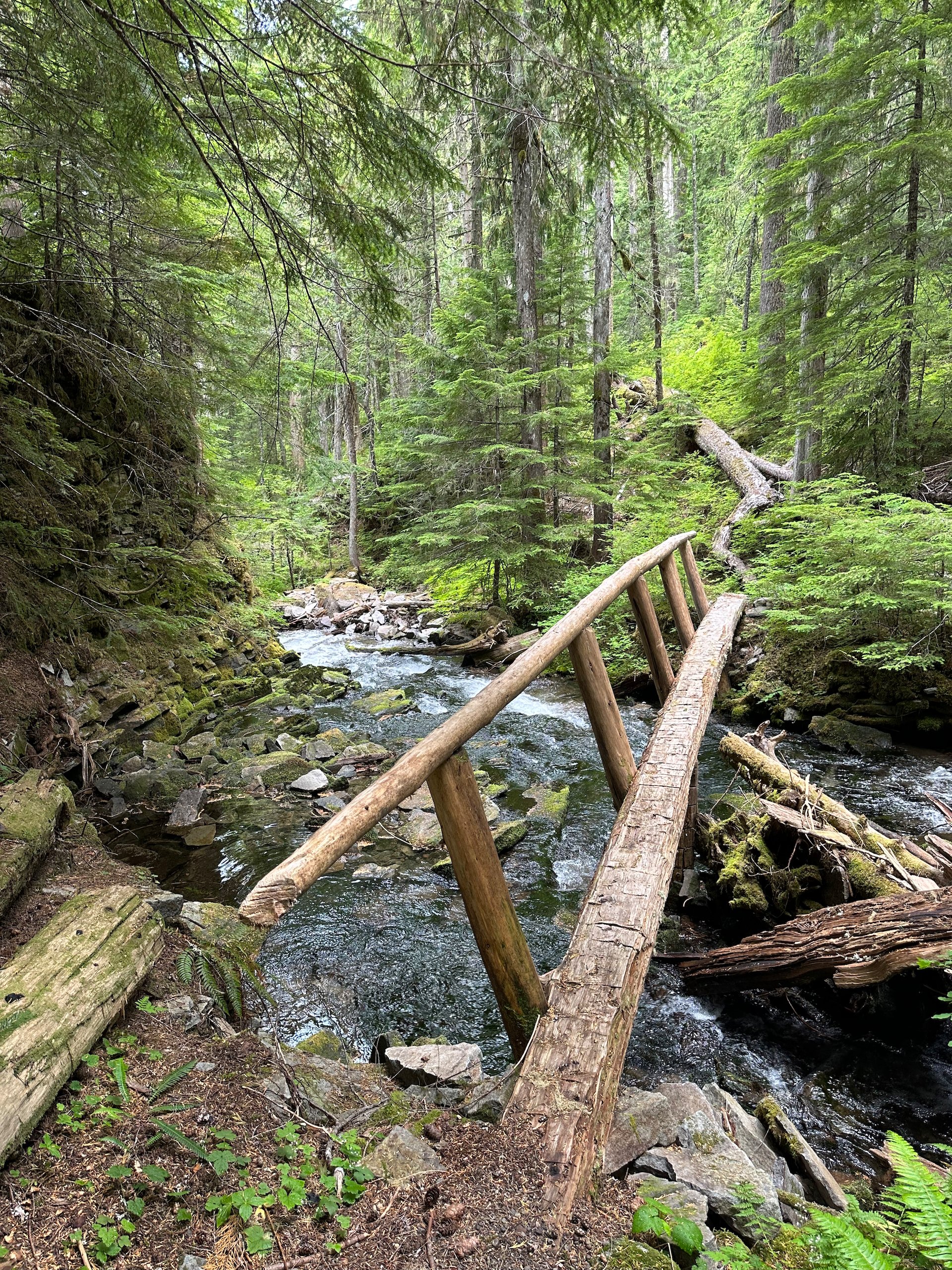  Another cool log bridge! 