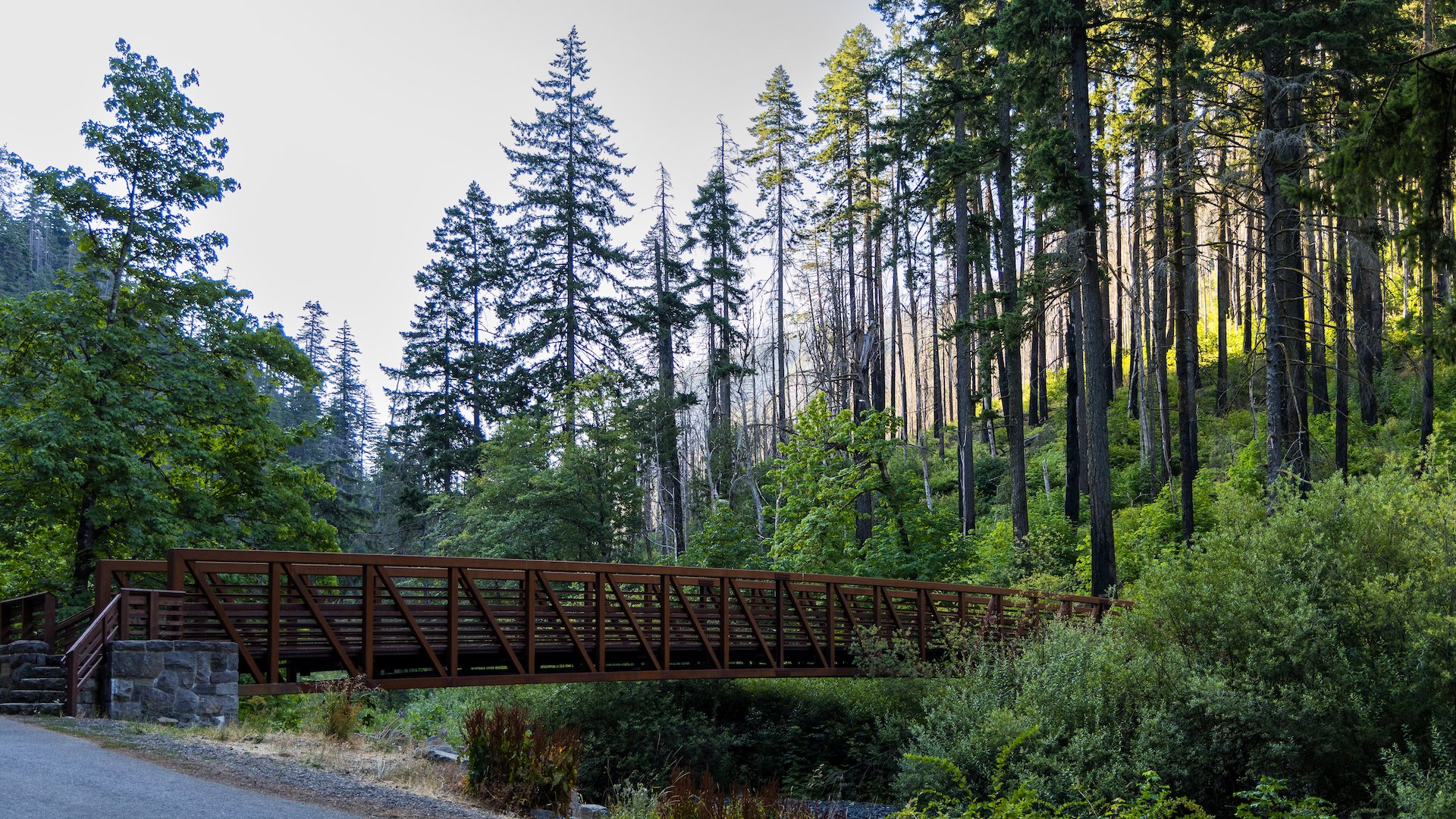  Since the fire, they’ve had to rebuild so much, This bridge at the trailhead is new since the last time we were here. 