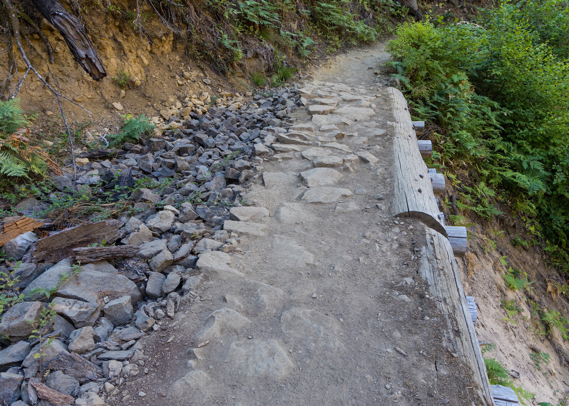  One of the sections of the trail that they had to rebuild after the fire.  