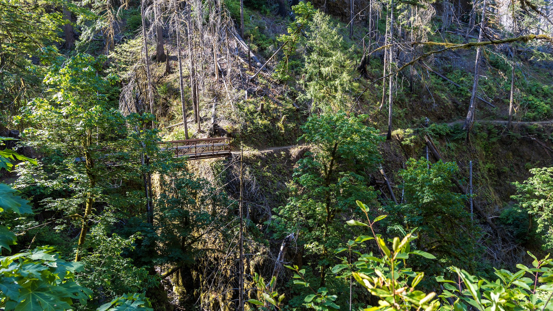  I don’t remember these metal bridges along the hike.I think that these were new since the fire. 