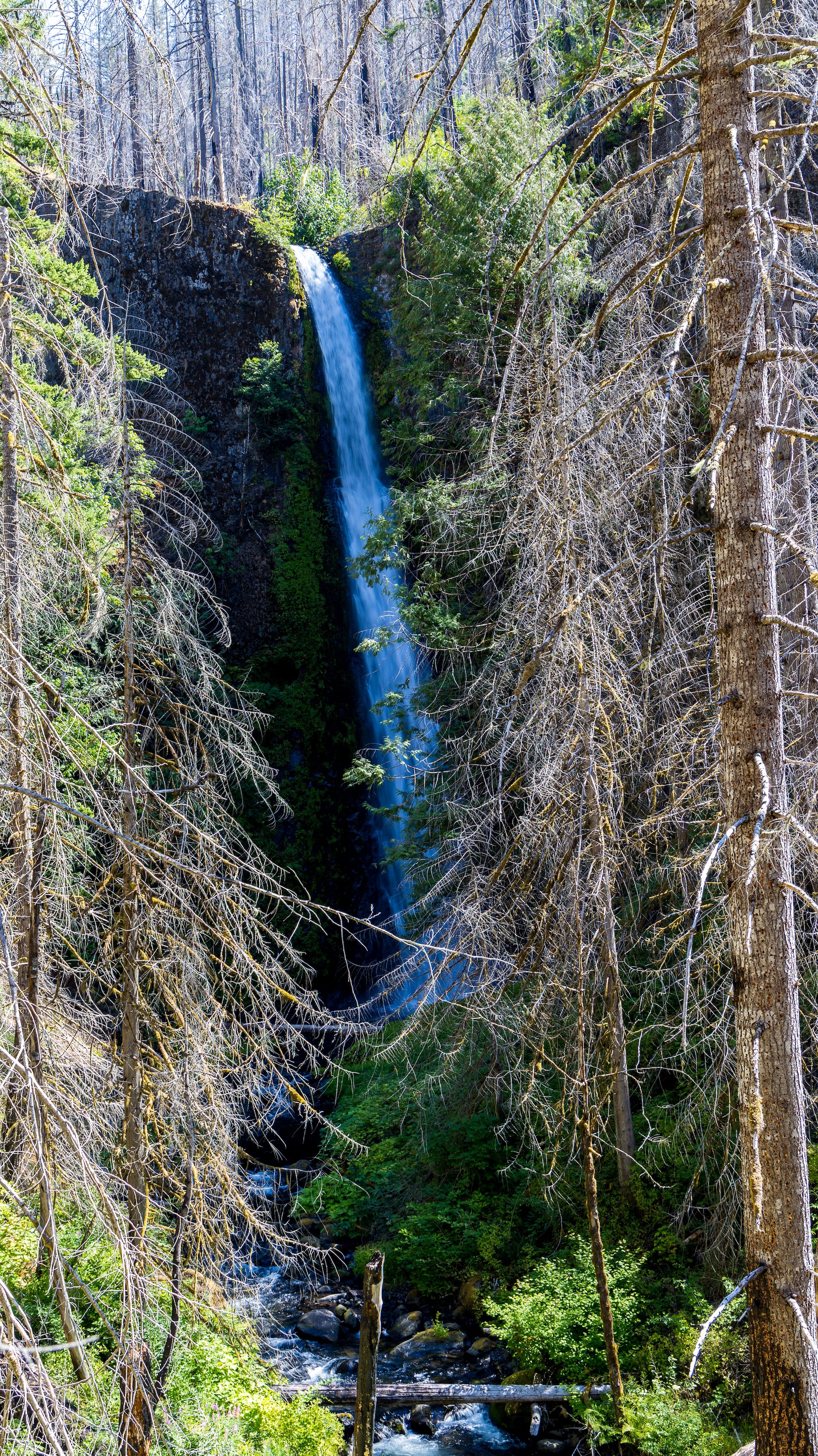  Our first view of Tunnel Falls, from a distance. 