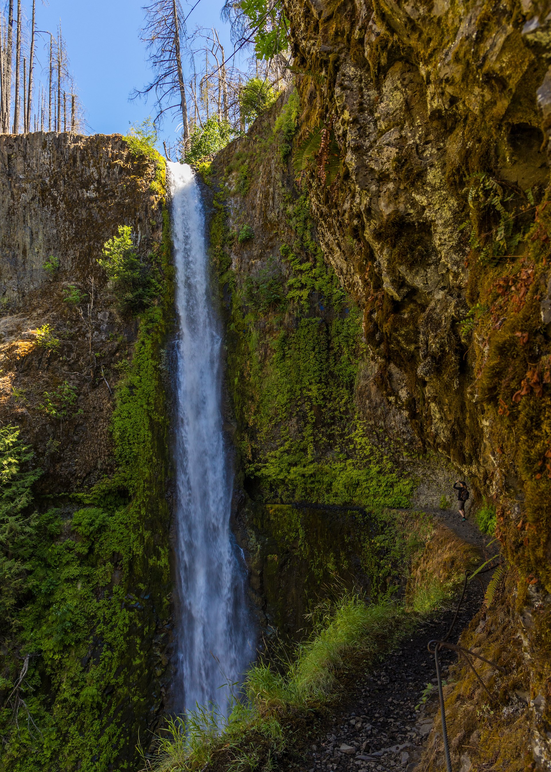  Looking back from the other side of the trail really gives you a better sense of perspective on the size of the waterfall. 