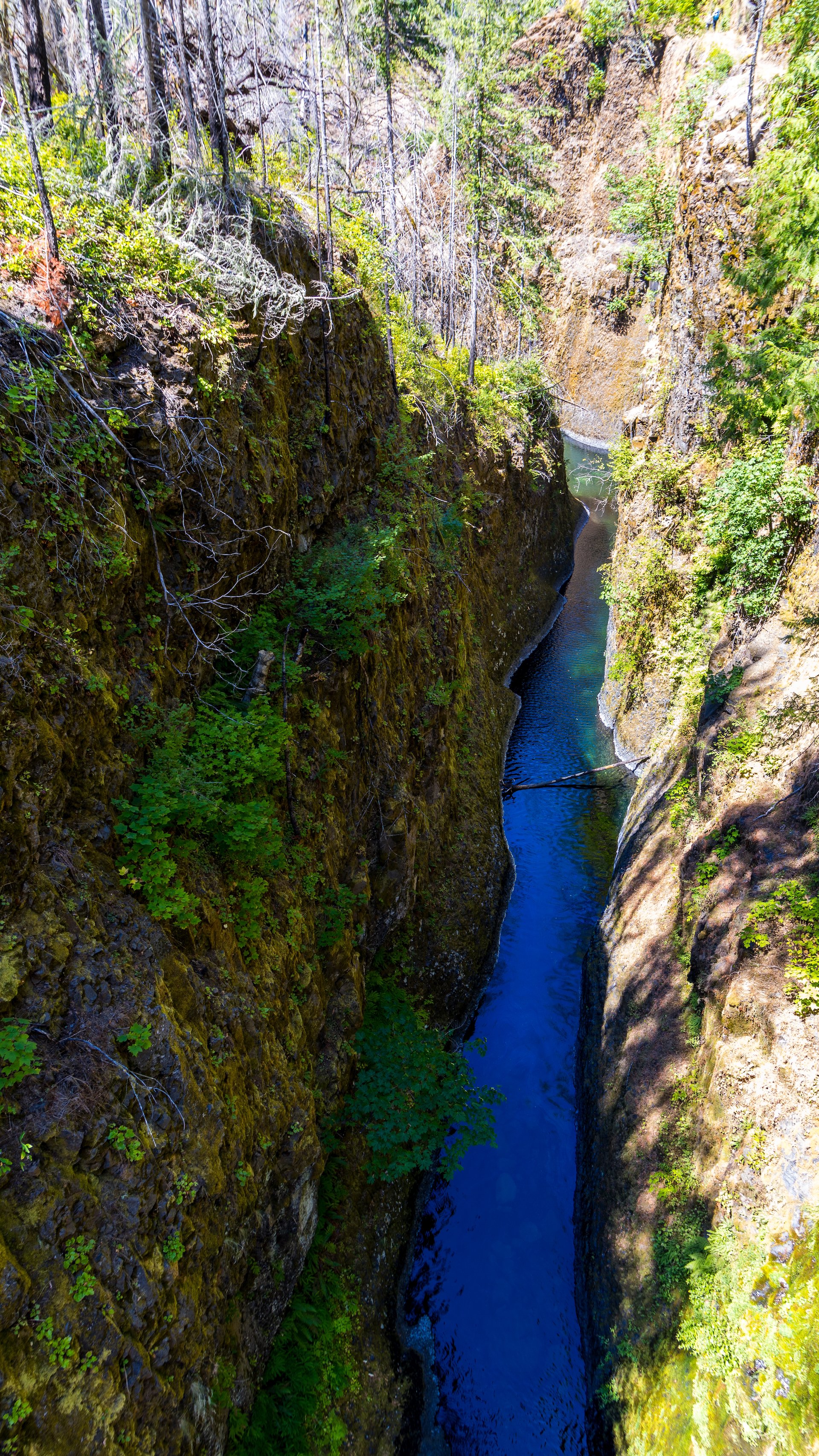  The light had changed as morning shifted to afternoon, providing a better b=view down into the canyon.  