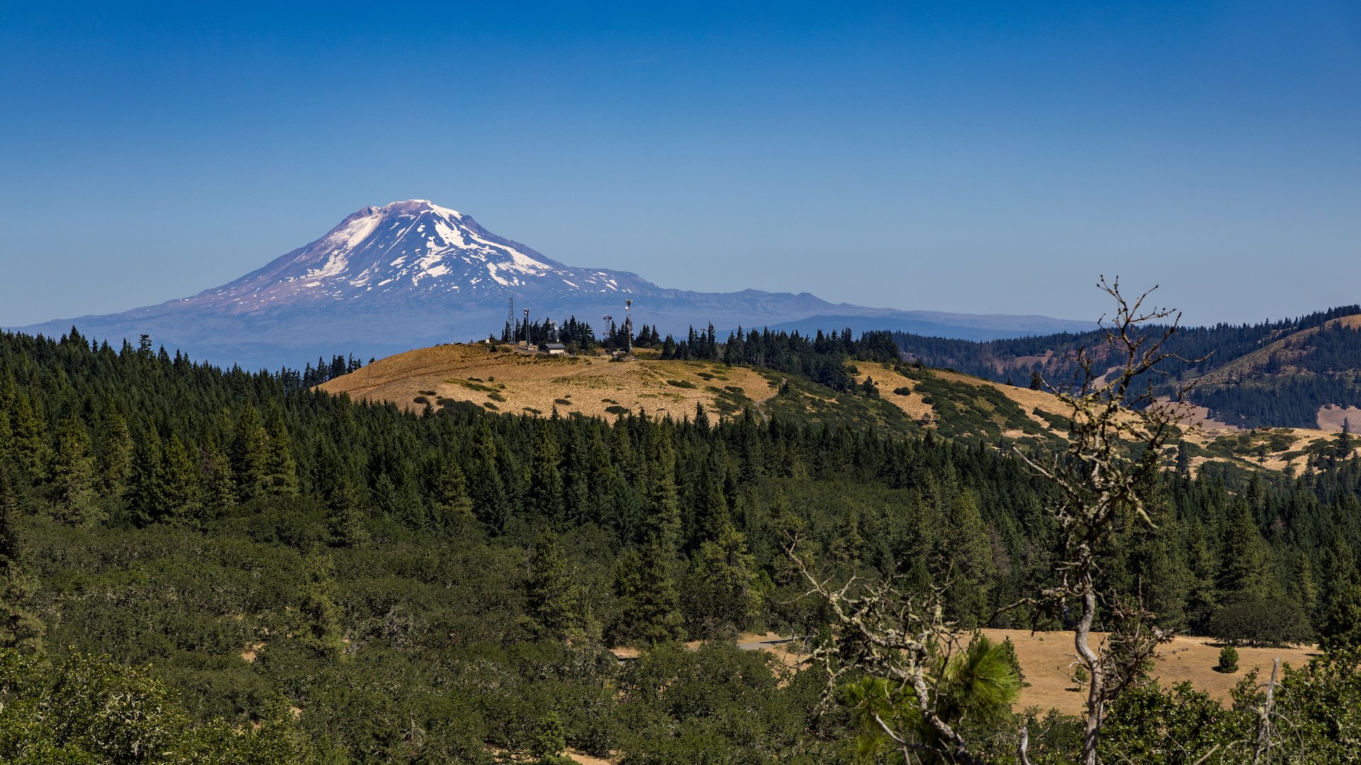  And to the north, Mount Adams rises over the landscape. 