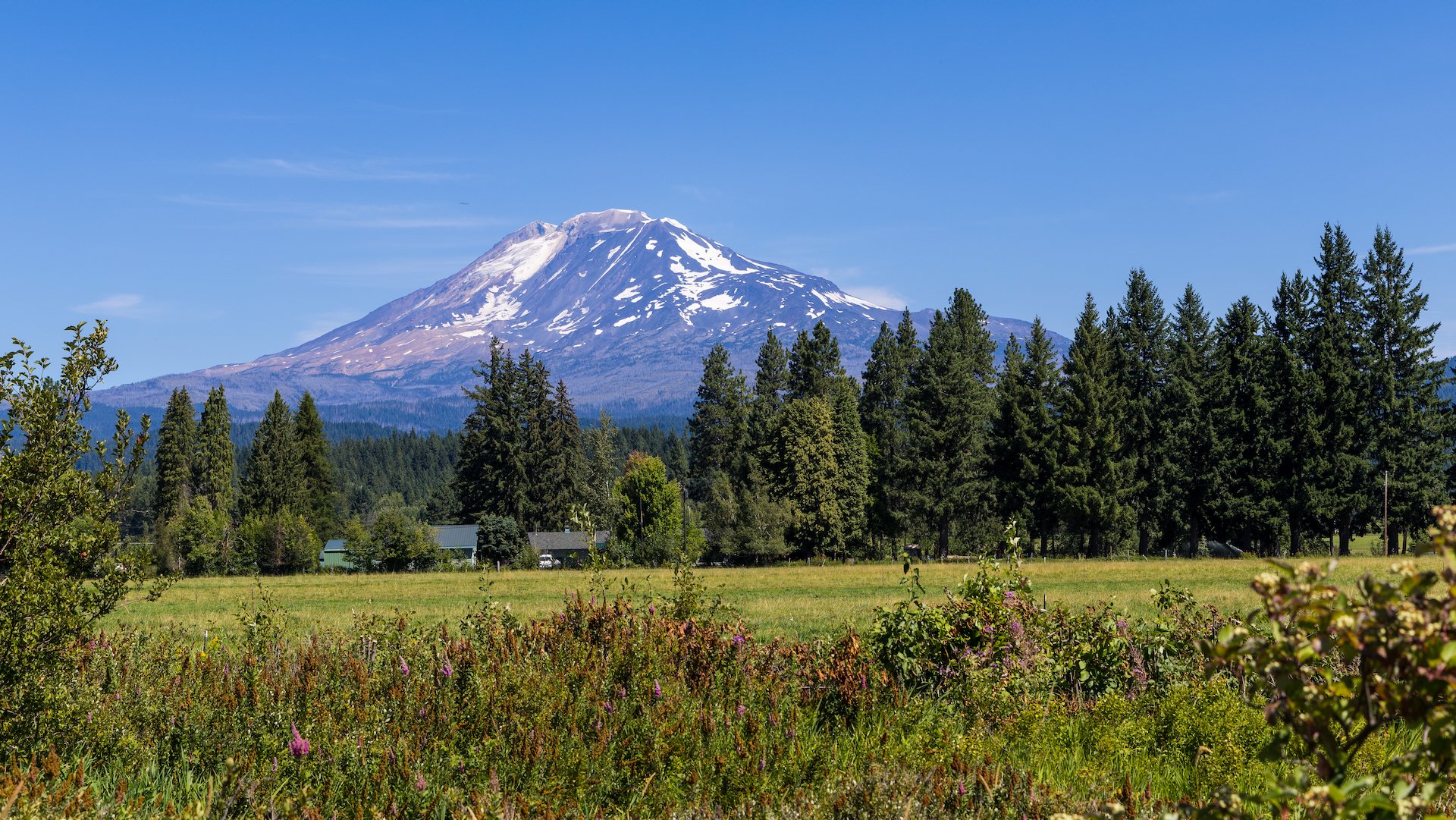  The drive to Mount Rainier took us along the western flank of Mount Adams and provided a number of great views of the mountain.  