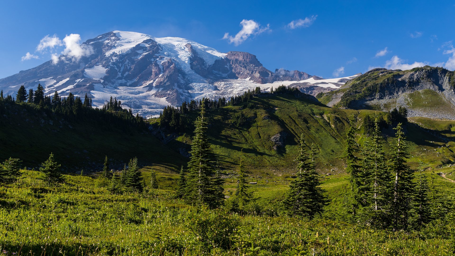  Taking an evening stroll out on the trails. You don’t have to go far to get pretty amazing views of the mountain. 