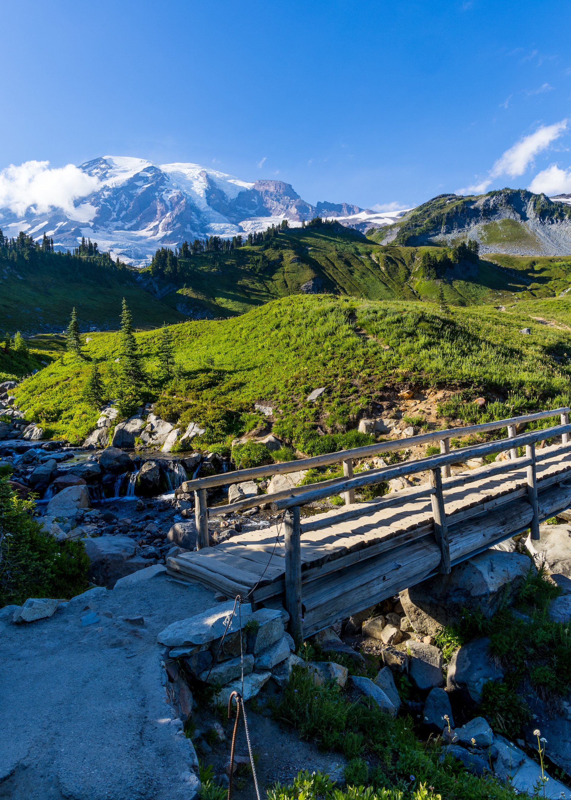  The foot bridge heading over the river, heading up into the lapine meadows.  