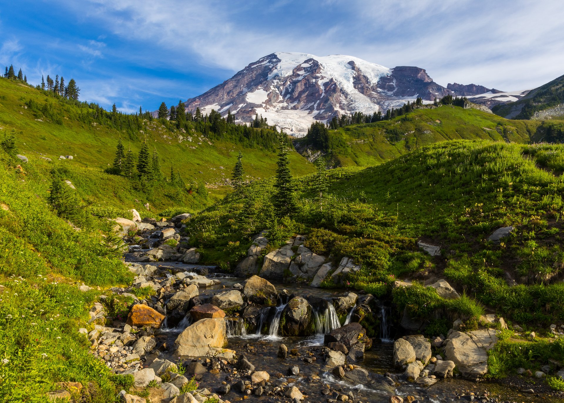 2023 08 Mount Rainier - 25.jpeg