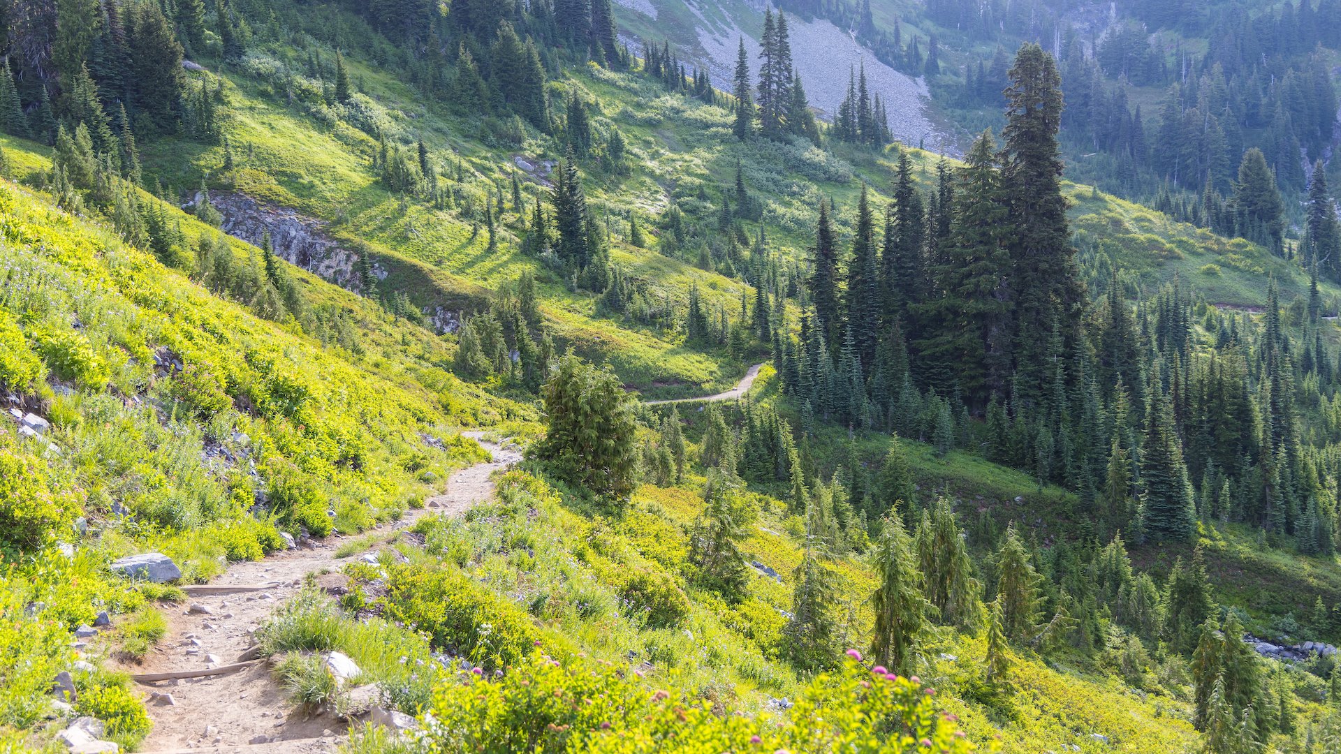  From the scree slope where the pikas were, we headed down into the valley a little bit. 