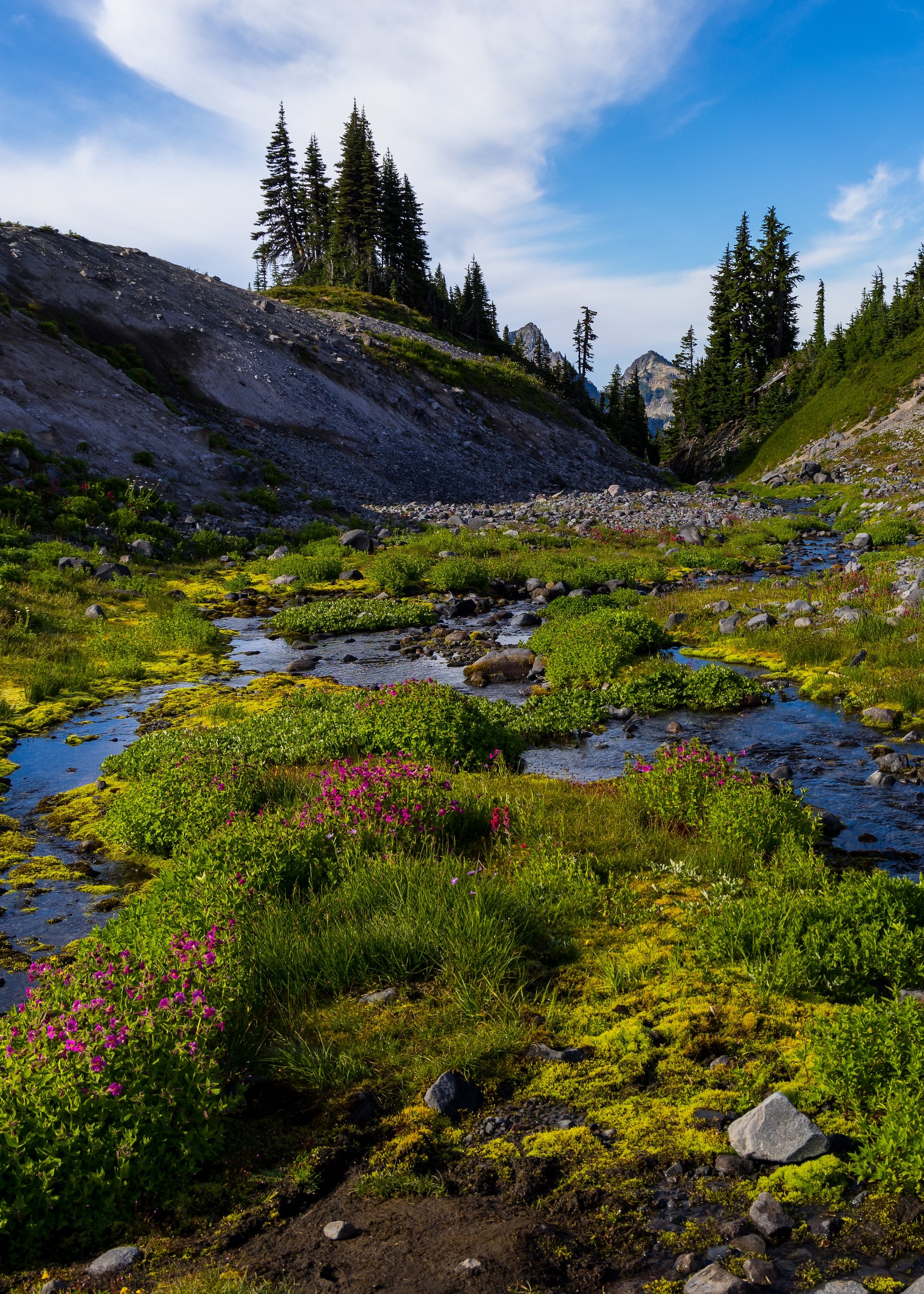  With all the water, there were lots of flowers, making for a lovely scene.  