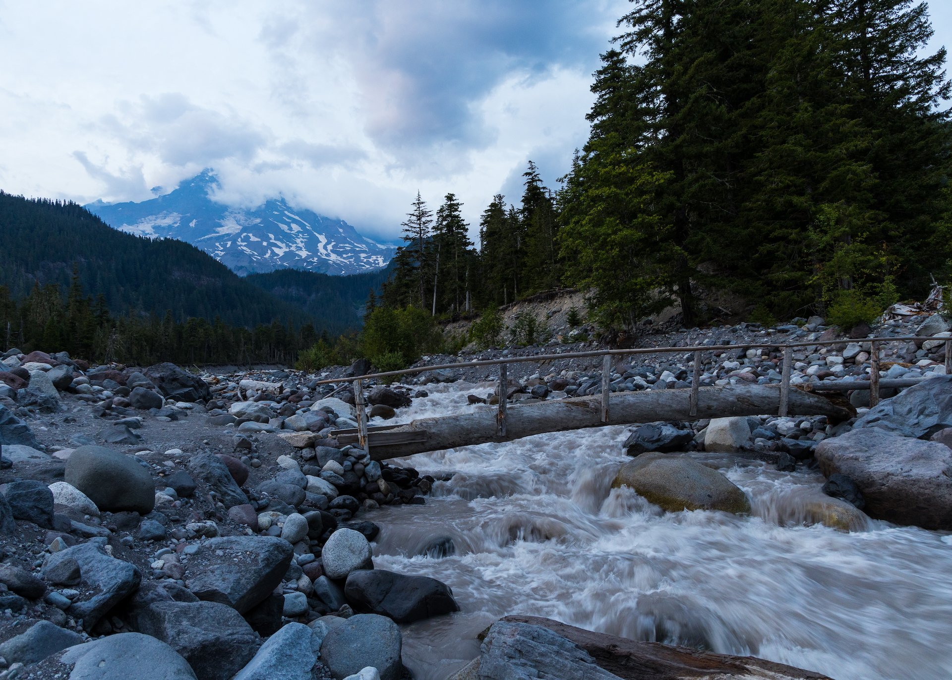 2023 08 Mount Rainier - 131.jpeg